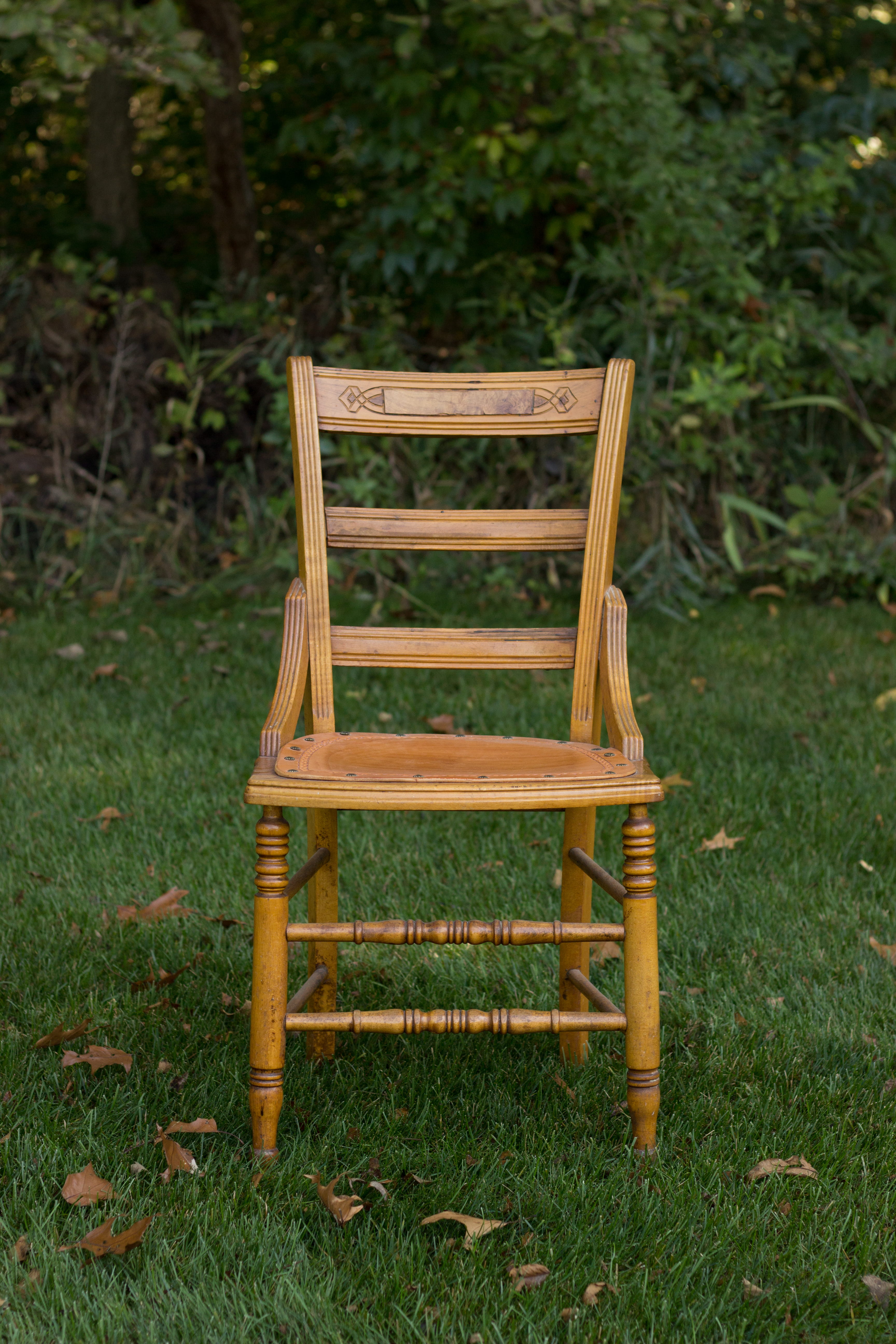 tree, green color, plain, grass, old chair, chair outside, furniture, wooden chair, absence, day, near, field, leaves, covered, wood - material, outdoors, Phone HD Wallpaper