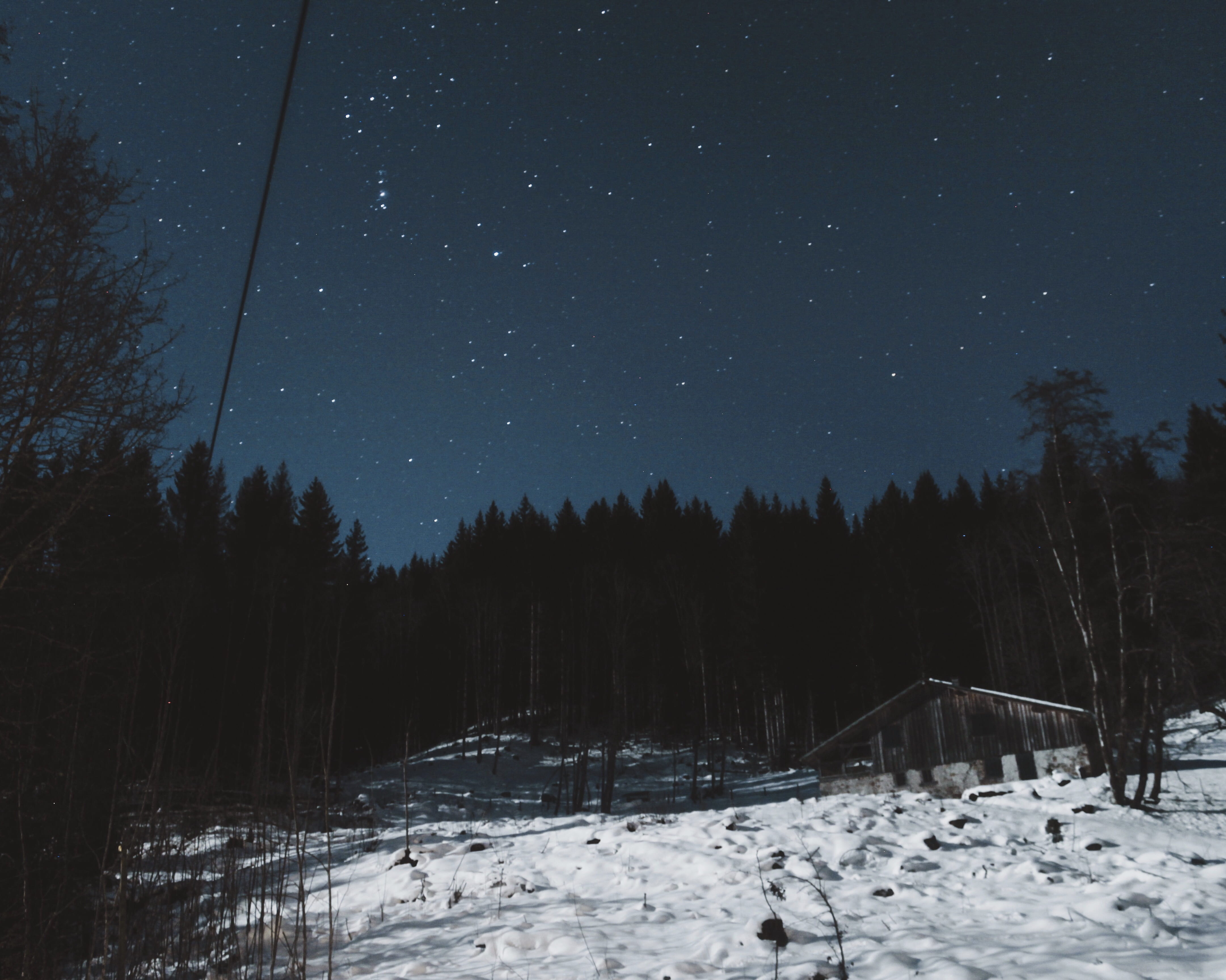 environment, near, pine, nature, field, trees, beauty in nature, plain, cold temperature, star - space, tranquil scene, black, star, plant, forest, silhouette, HD Wallpaper