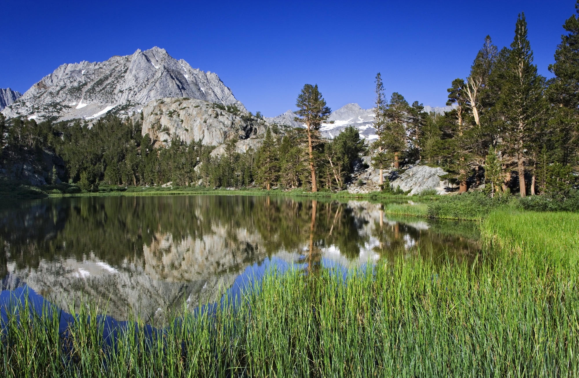 1080P, Eastern, tree, outdoors, Mary, tranquil scene, ca, idyllic, Sierra, reflection, grass, no people, mountain, sky, plant, Mountains, non-urban scene, HD Wallpaper
