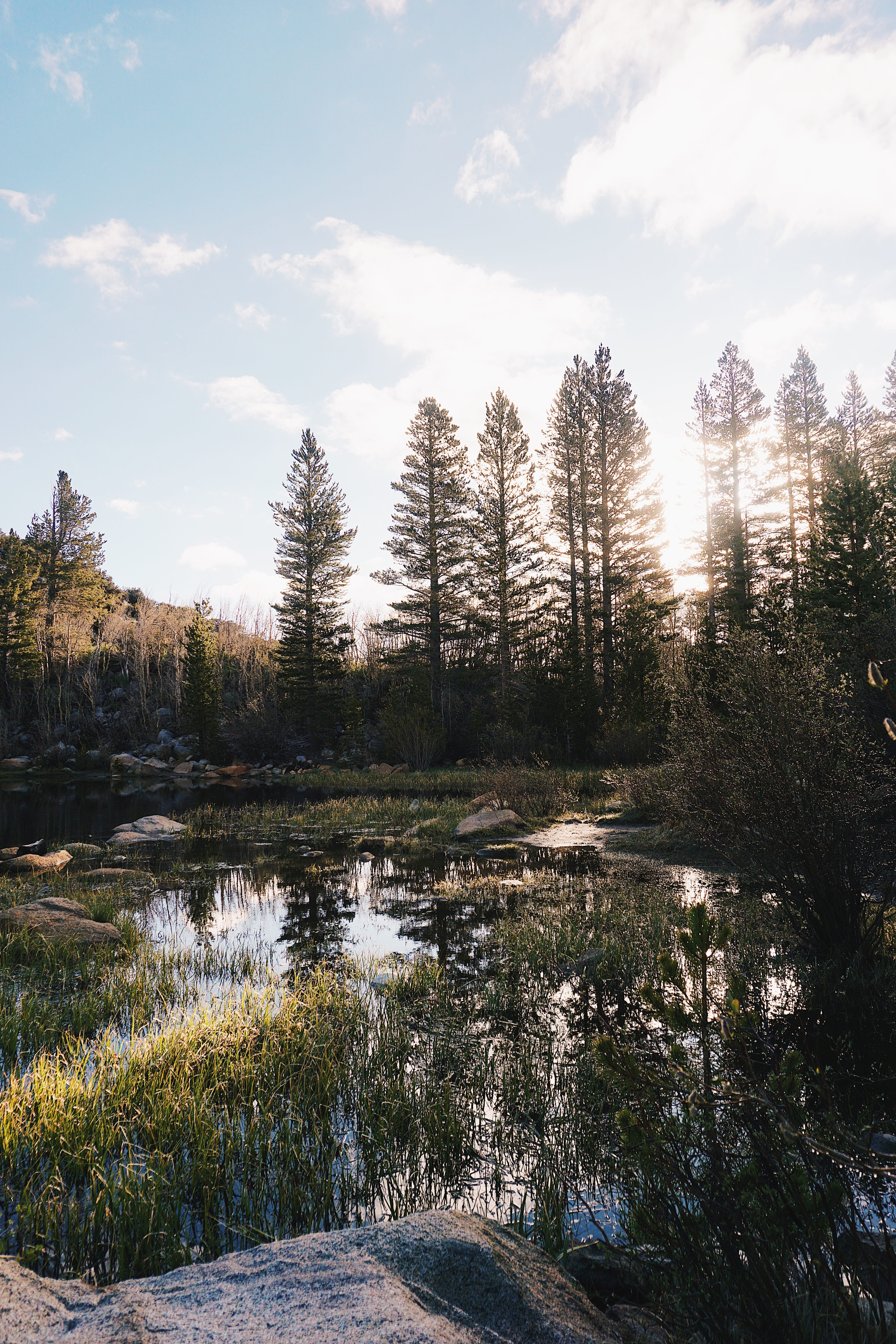 beauty in nature, sunrise, non-urban scene, cloud - sky, united states, pond, reflection, forest, scenics - nature, outdoors, swamp, eastern sierras, Phone HD Wallpaper