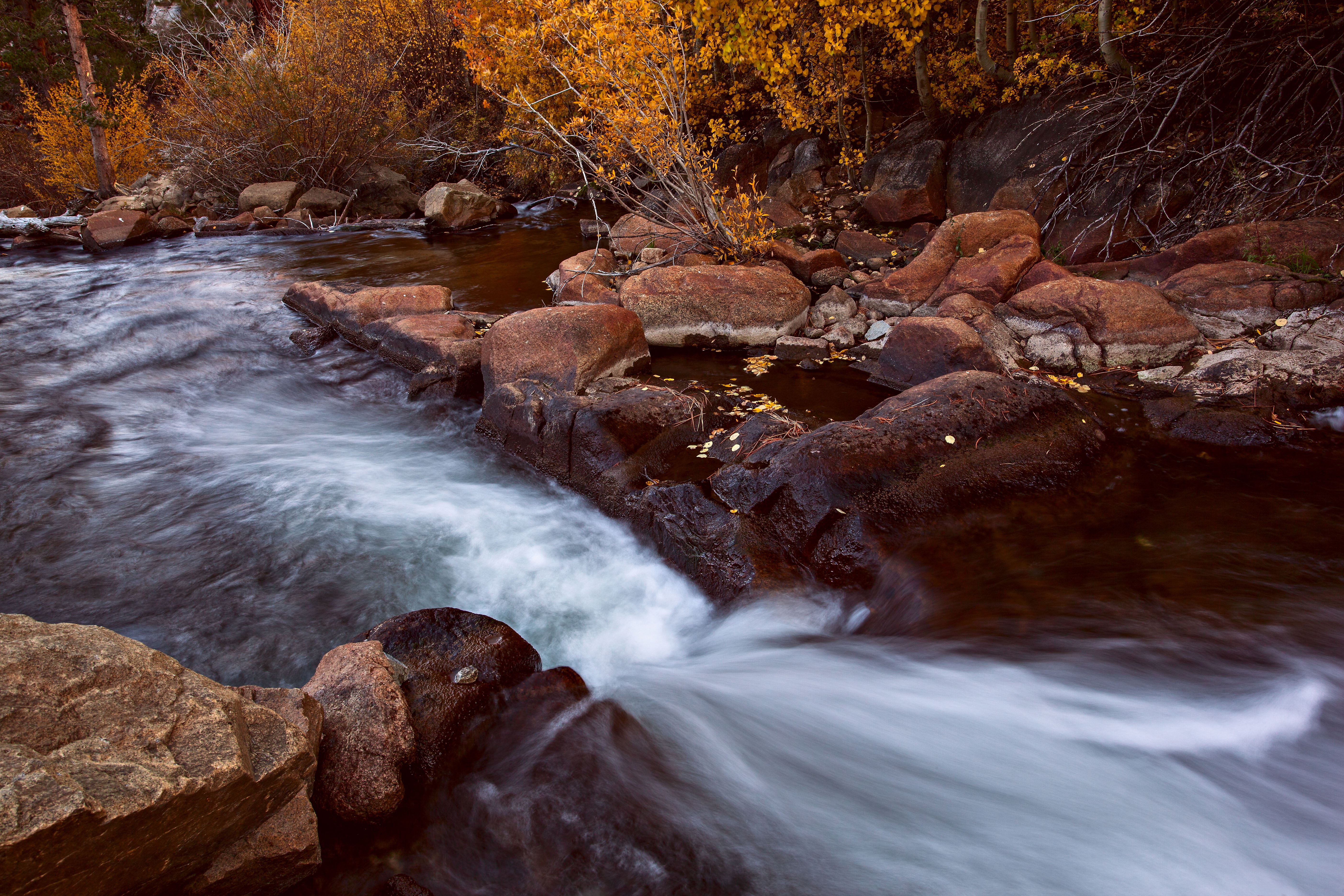 scenics, beauty In Nature, Bishop Creek, near, tree, water, forest, autumn, Eastern Sierra, Fall color, bishop, river, rapids, creek, body, rock - Object, HD Wallpaper