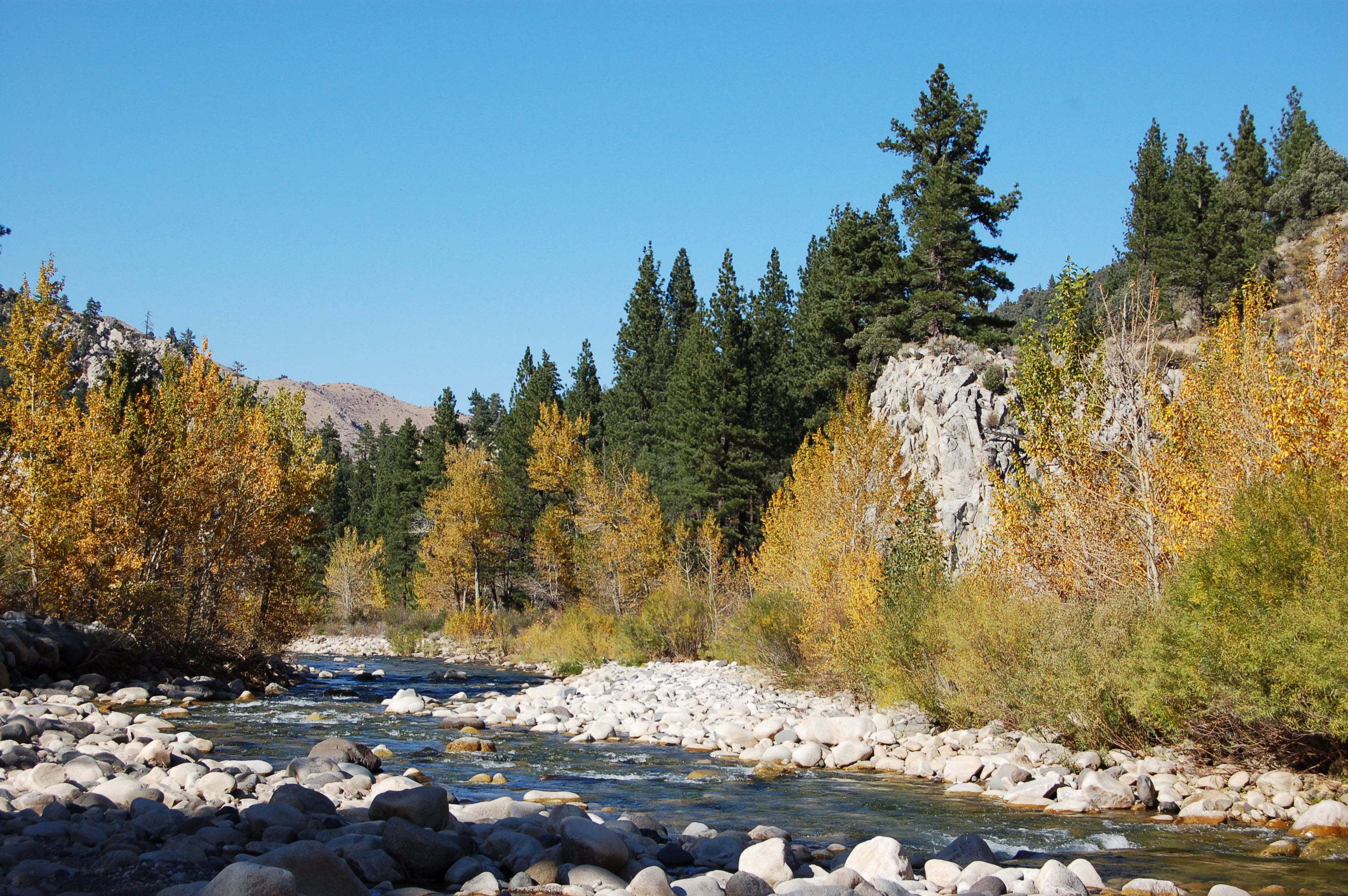 rock - object, outdoors, sierra nevada, tree, fall, walker river, autumn, tranquility, idyllic, fall colors, mountains, sierra, non-urban scene, change, HD Wallpaper