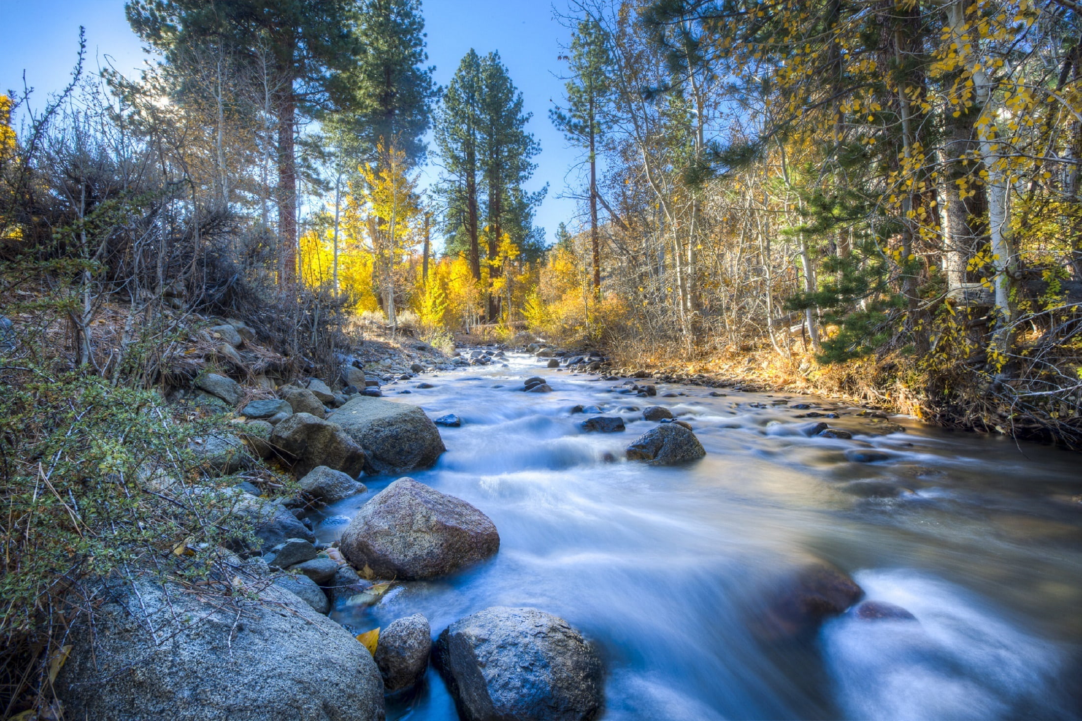 nature, cascade, stream - flowing water, solid, woodland, usa, scenics - nature, wilderness, scenics, outdoors, land, flowing, beauty in nature, tree, conway summit, HD Wallpaper