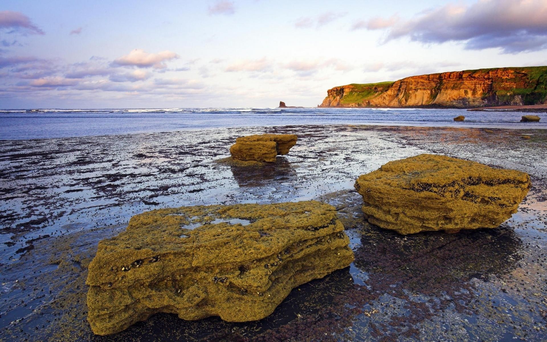 beach, bay, beautiful, yorkshire, cliffs, nature and landscapes, rocks, engl, 1080P, HD Wallpaper