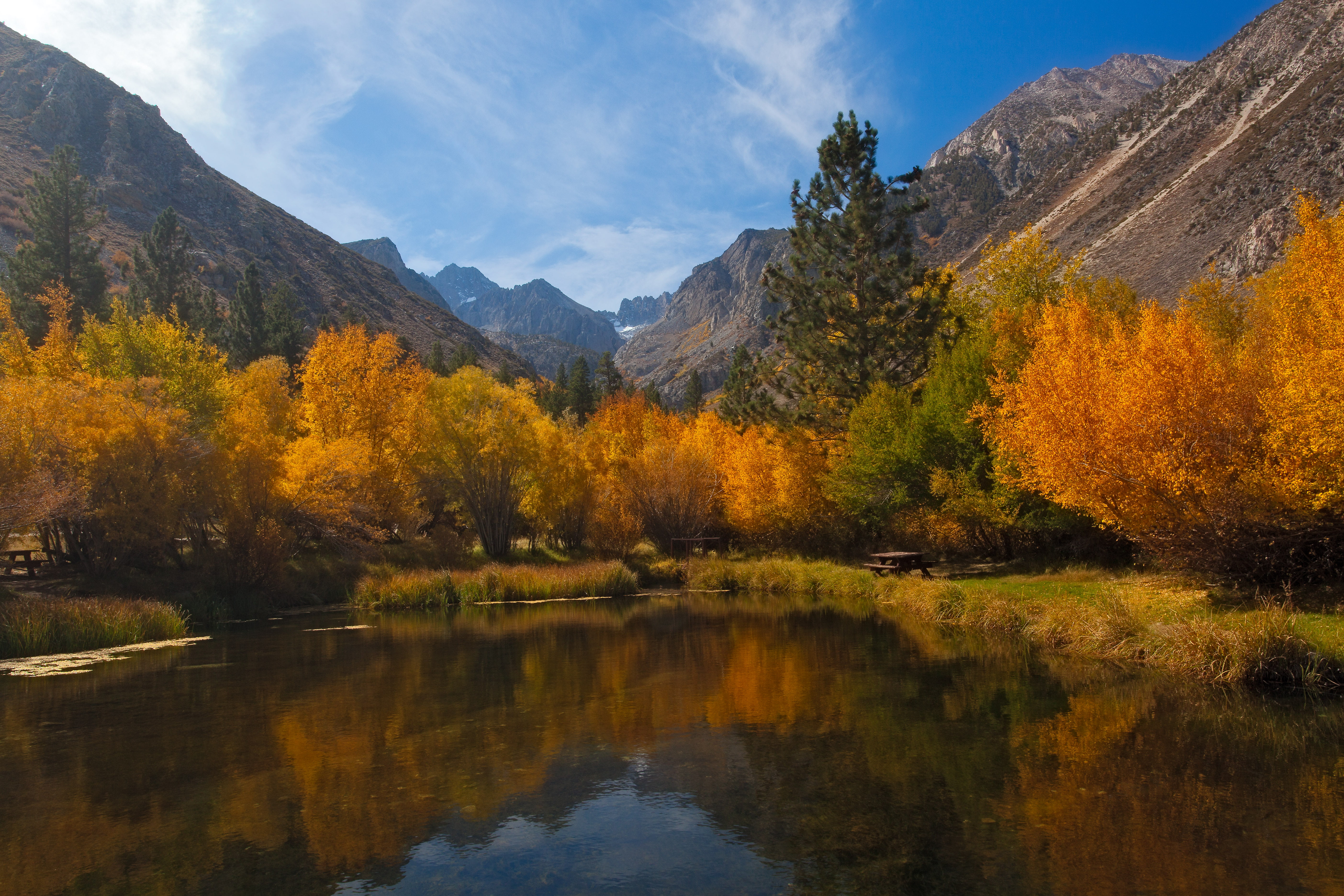 nature, mountain, photography, big, landscape, pine, fall, 5K, river, aspen, leaf, Aspens, reflection, autumn, Eastern Sierra, scenics, mountains, water, HD Wallpaper