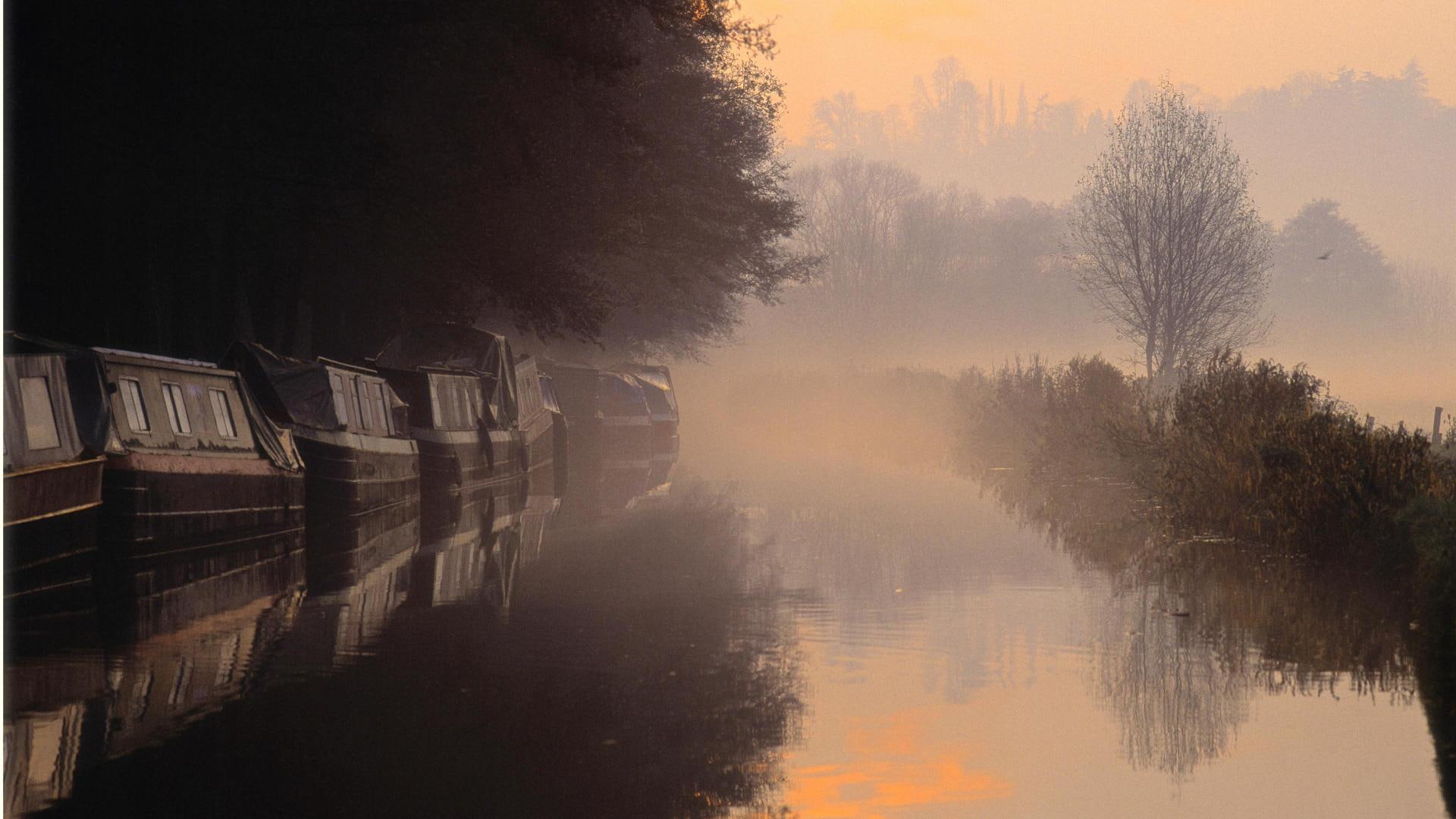 trees, boats, surrey, nature and landscapes, river, morning, mist, engl, 1080P, HD Wallpaper