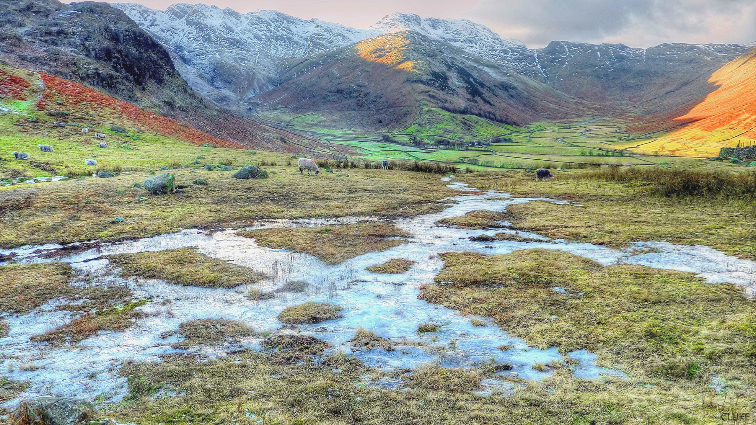 engl, lake, grazing, hdr, sheep, hd, district, 2K, HD Wallpaper
