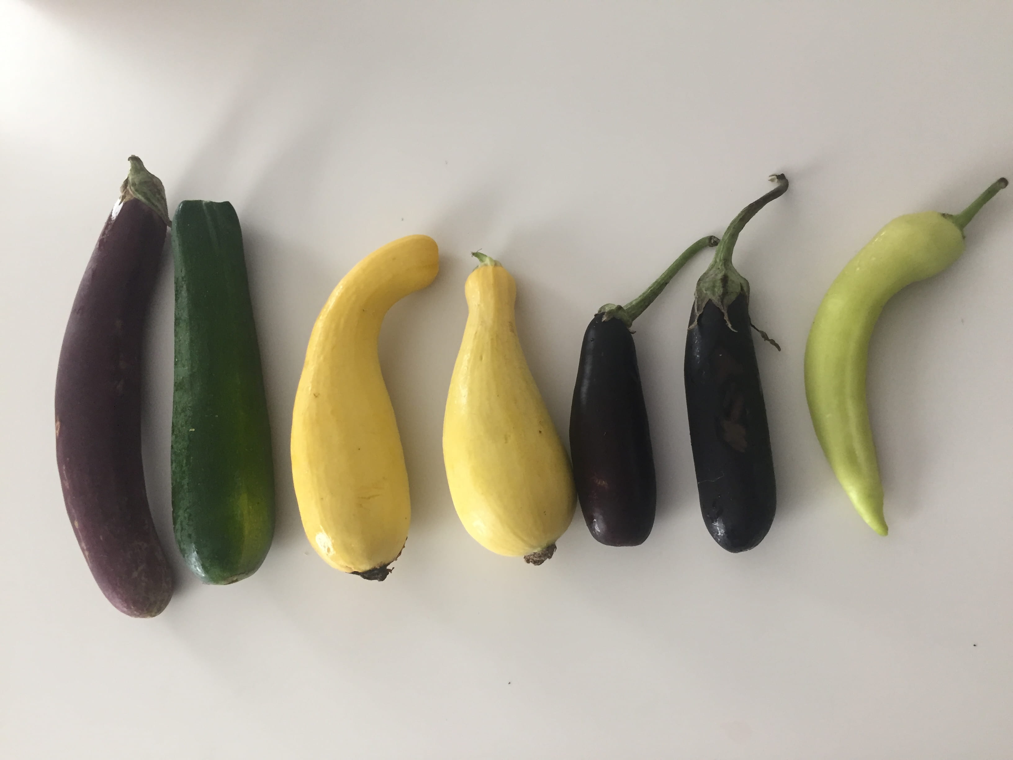 egg plant, food and drink, no people, vegetable, yellowm, chili pepper, freshness, green color, cincinnati, high angle view, white background, spice, united states, HD Wallpaper