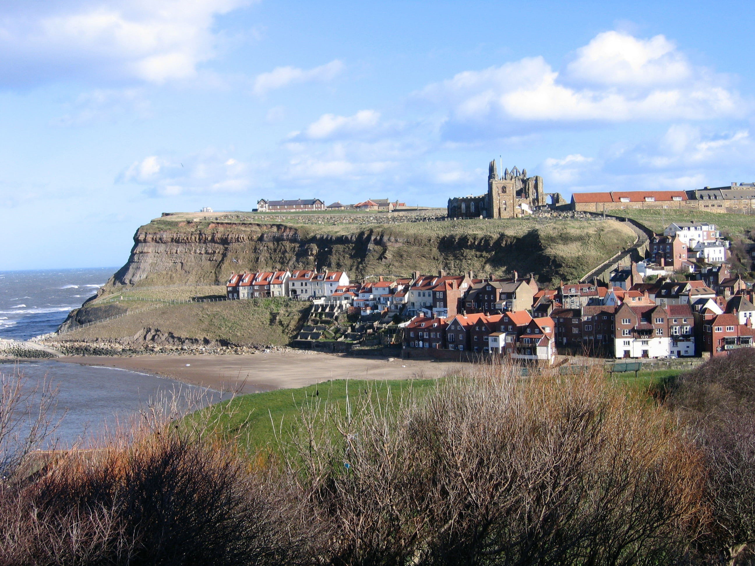 water, plant, environment, north yorkshire, land, beach, no people, beauty in nature, building exterior, residential district, day, nature, harbour, whitby, HD Wallpaper