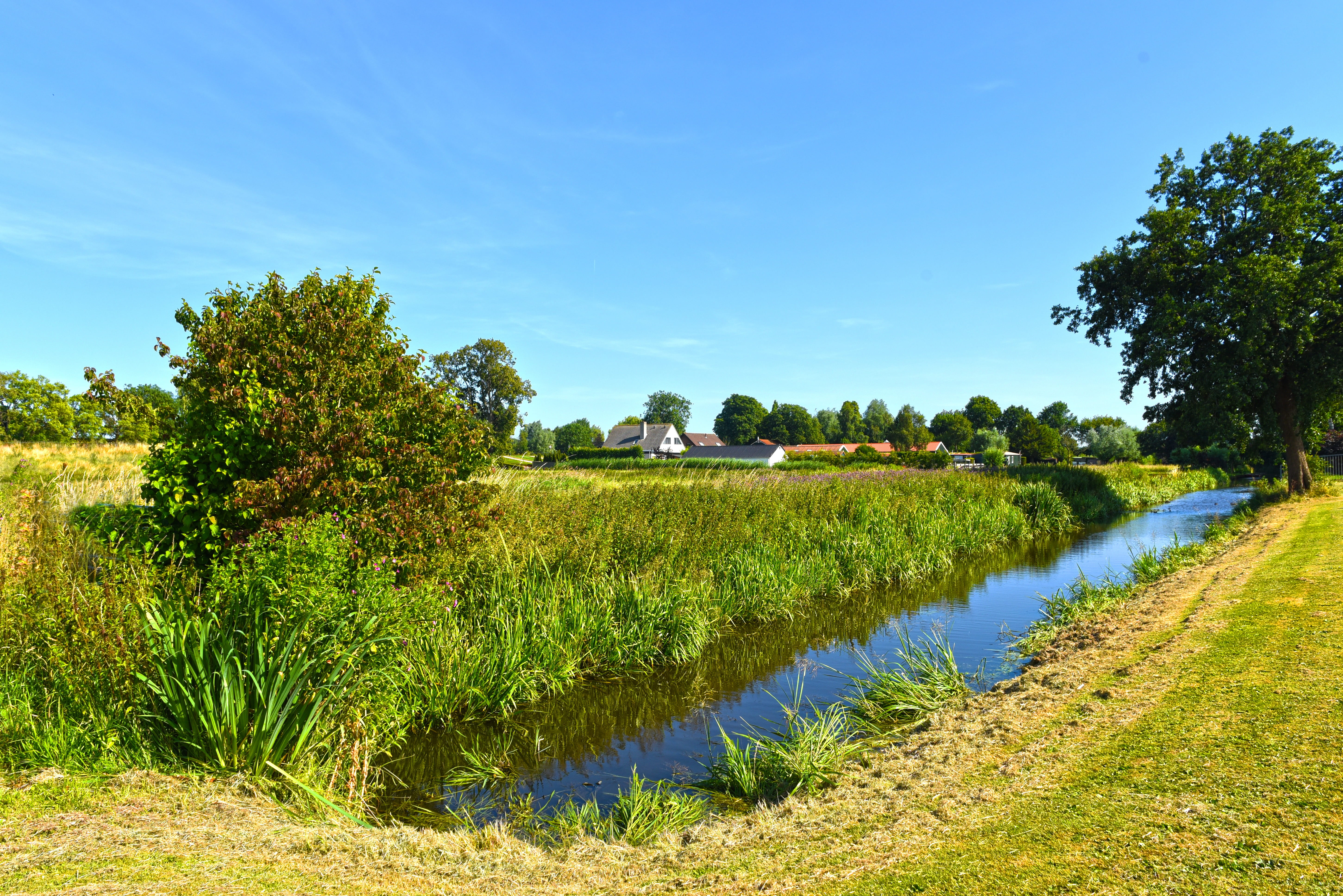 netherlands, polder, agriculture, day, environment, farm, green color, land, tree, plant, countryside, copy space, outdoors, scenics - nature, holland, HD Wallpaper