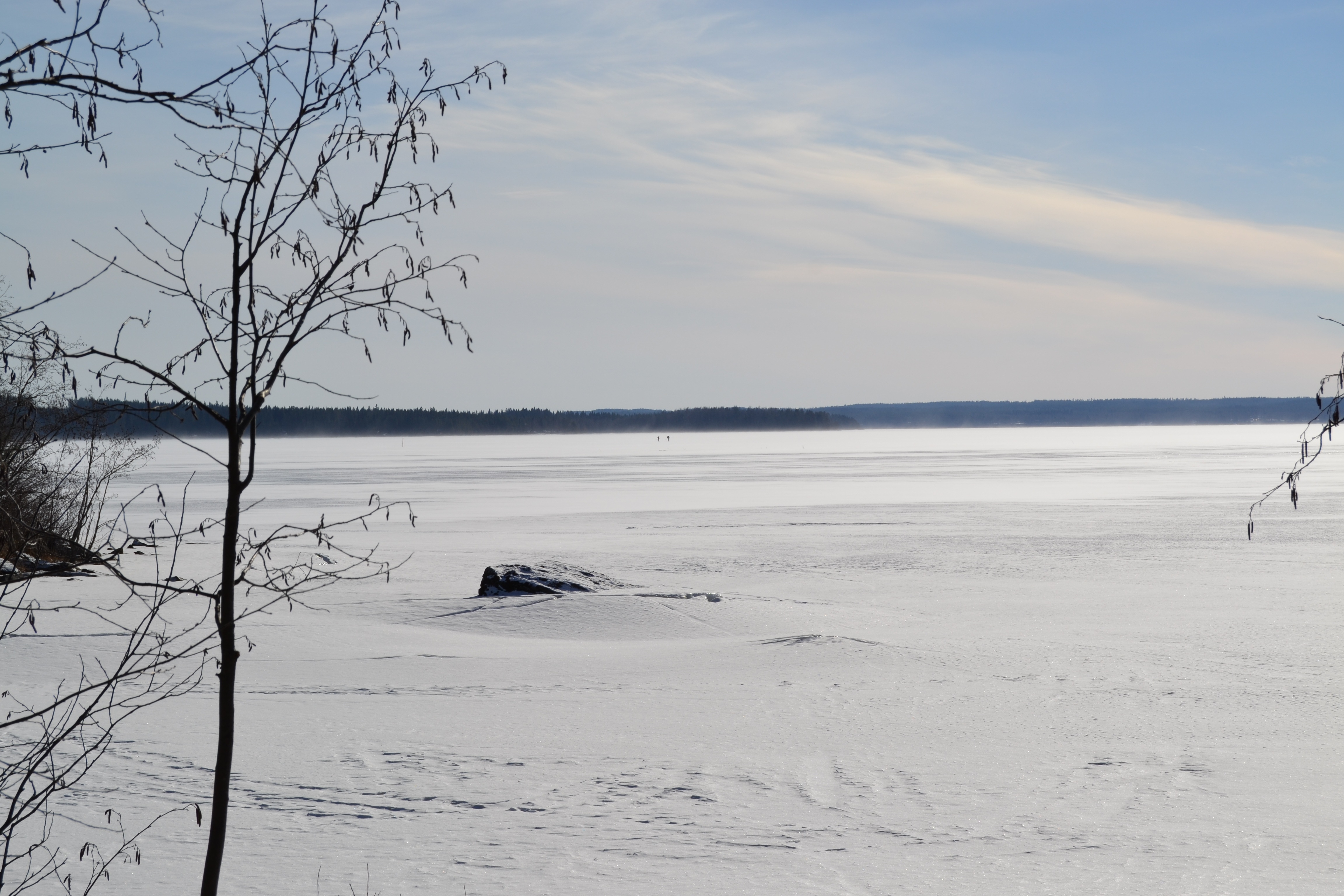 non-urban scene, bare tree, water, usual, fiels, in oulu lake, scenics - nature, tranquility, day, landscape, beach, land, snow, sea, driftwood, flat, wind, HD Wallpaper