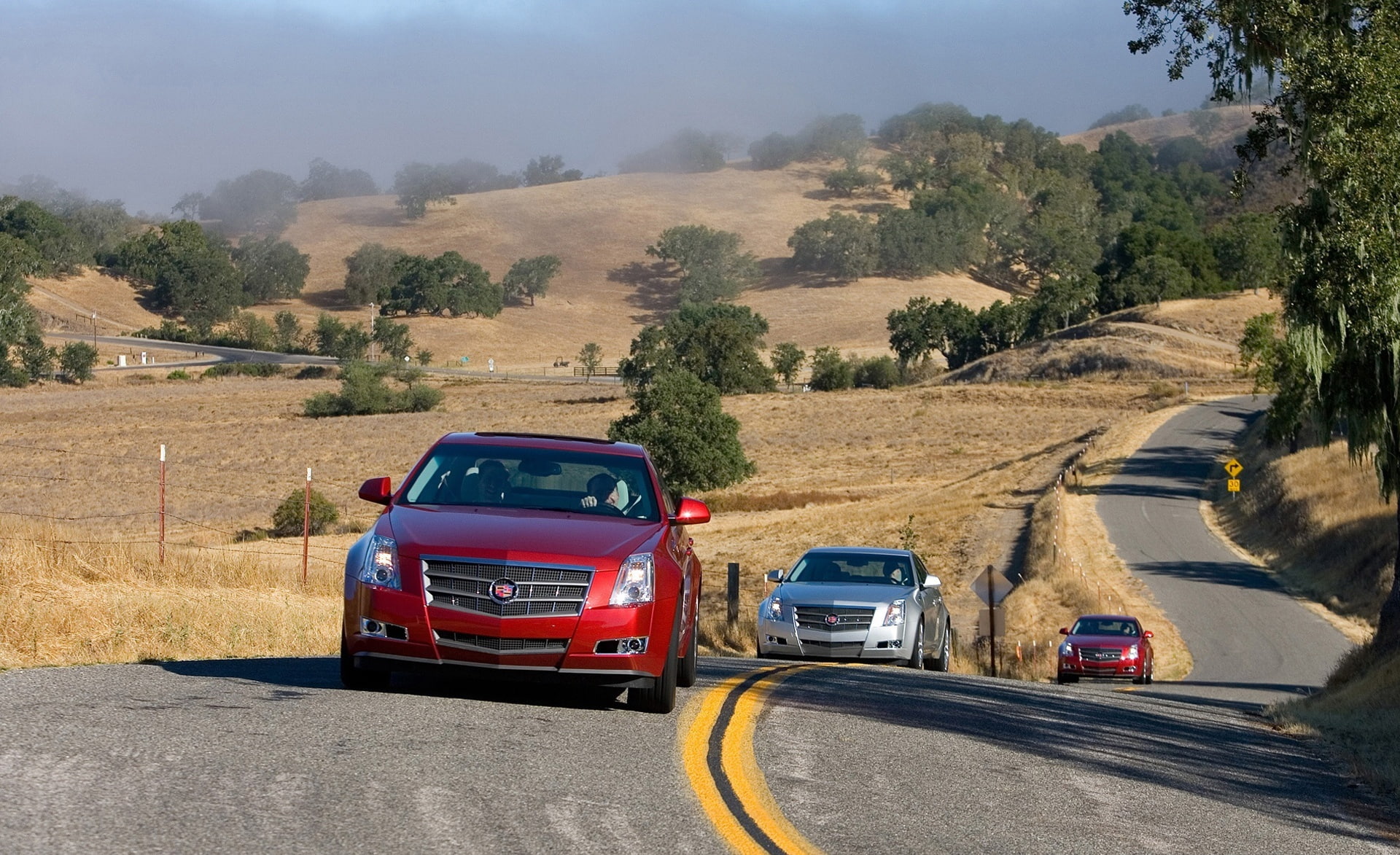 land, landscape, motion, sunlight, day, growth, tree, Cadillac, mode of transportation, 2008, plant, nature, travel, cts, motor vehicle, scenics - nature, HD Wallpaper