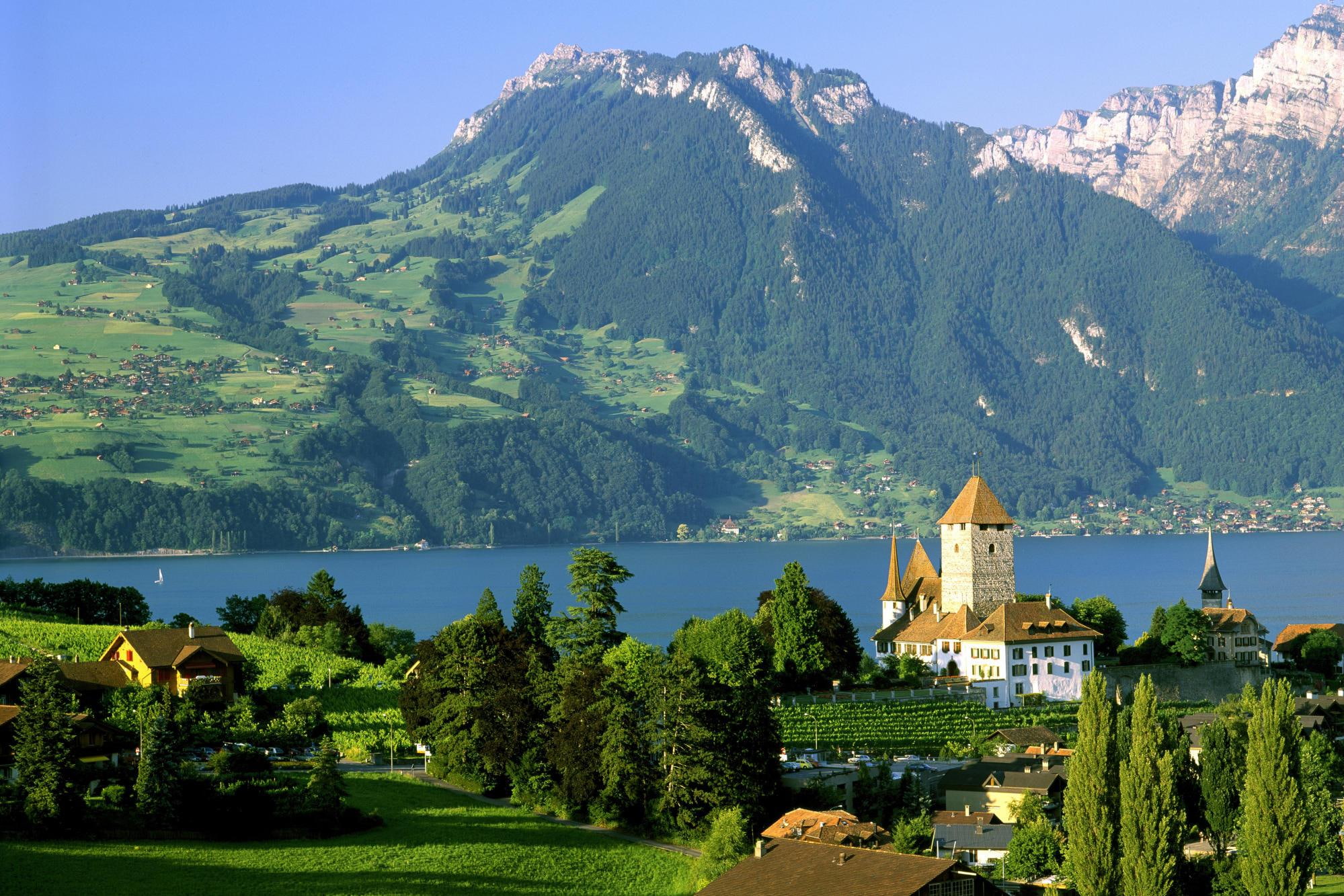 animals, 1080P, lake, castle, switzerland, spiez, mountains, HD Wallpaper