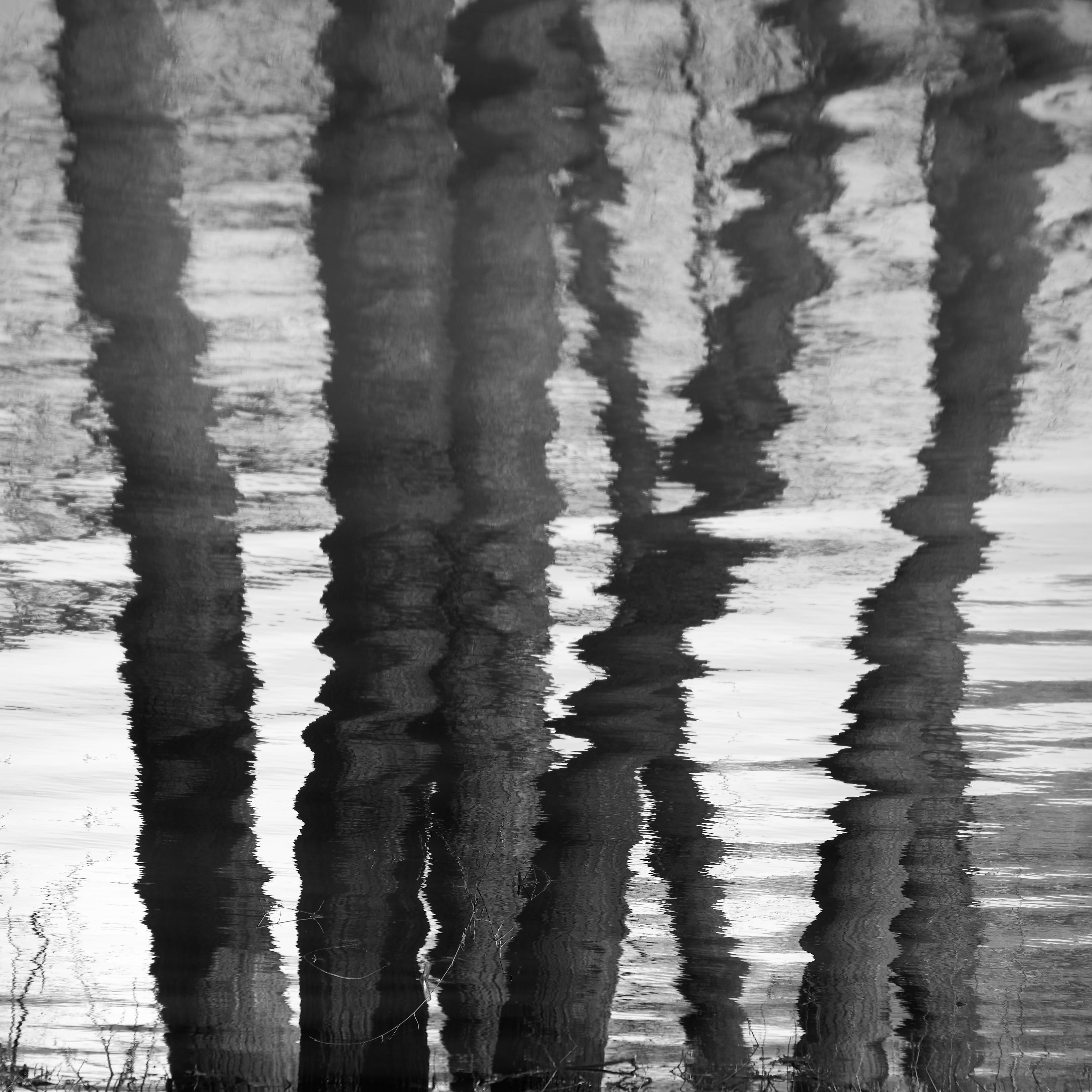 animal, reflections, shelf, lake, 4K, aquatic sport, ripple, day, cylinder, no people, anhinga, tranquility, water, beach, flowing water, canal, small lake near the confluence of the morava and danube rivers in devín, Phone HD Wallpaper