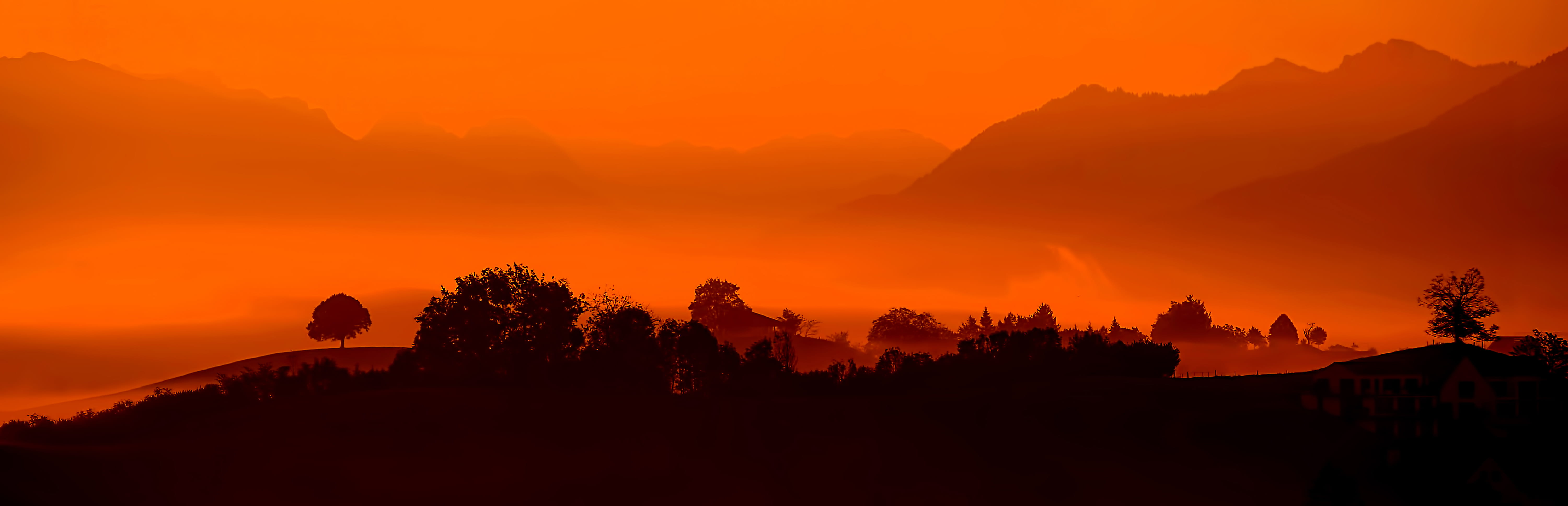 tree, n, tranquility, 5K, nature, photo, land, landscape, environment, sun, mountai, orange color, hour, dramatic sky, plant, mountain, sunset, tranquil scene, HD Wallpaper