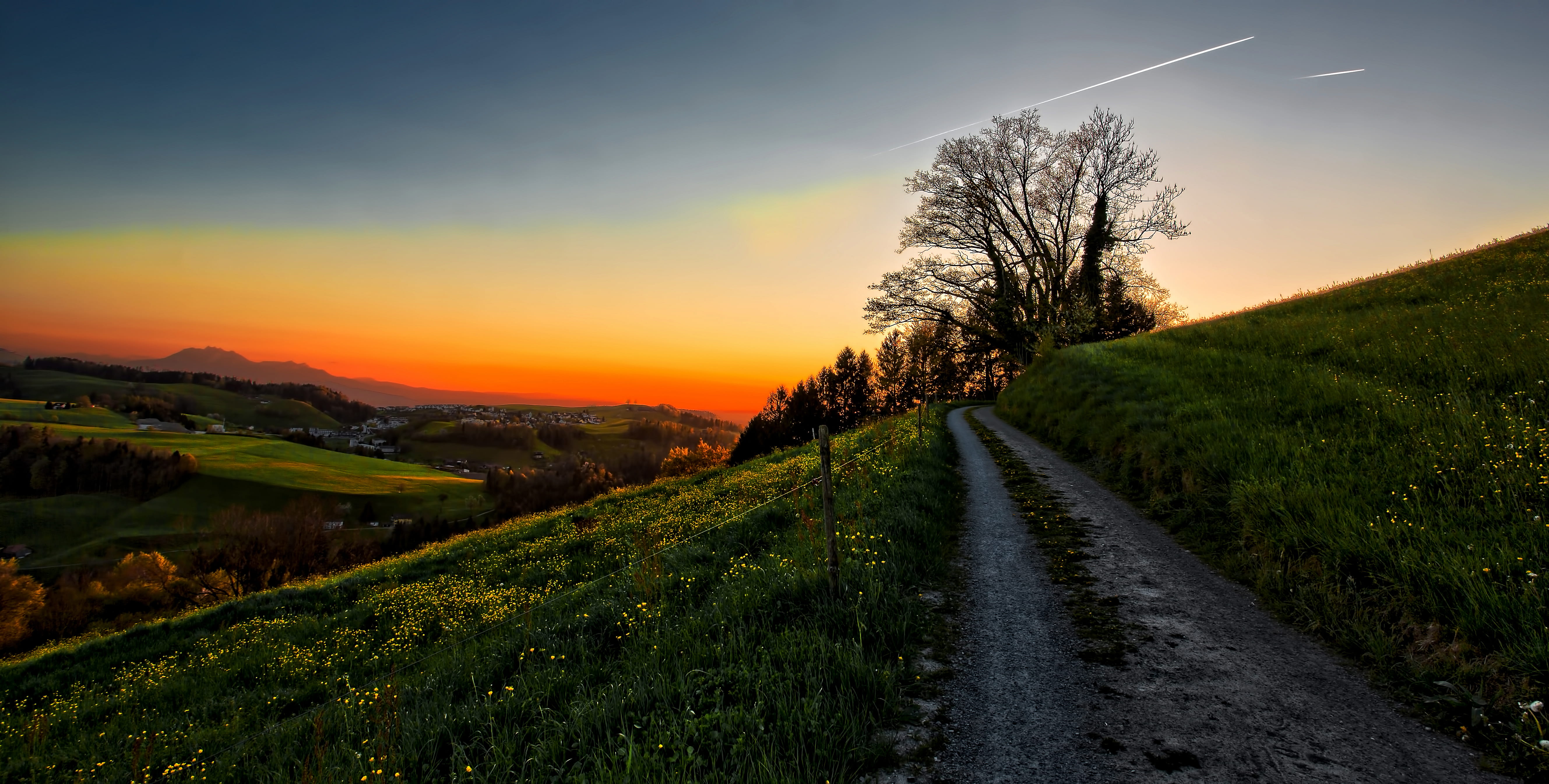 5K, plant, flowers, mountai, road, land, sun, beauty in nature, environment, landscape, direction, tranquility, outdoors, grass, tree, long, diminishing perspective, HD Wallpaper
