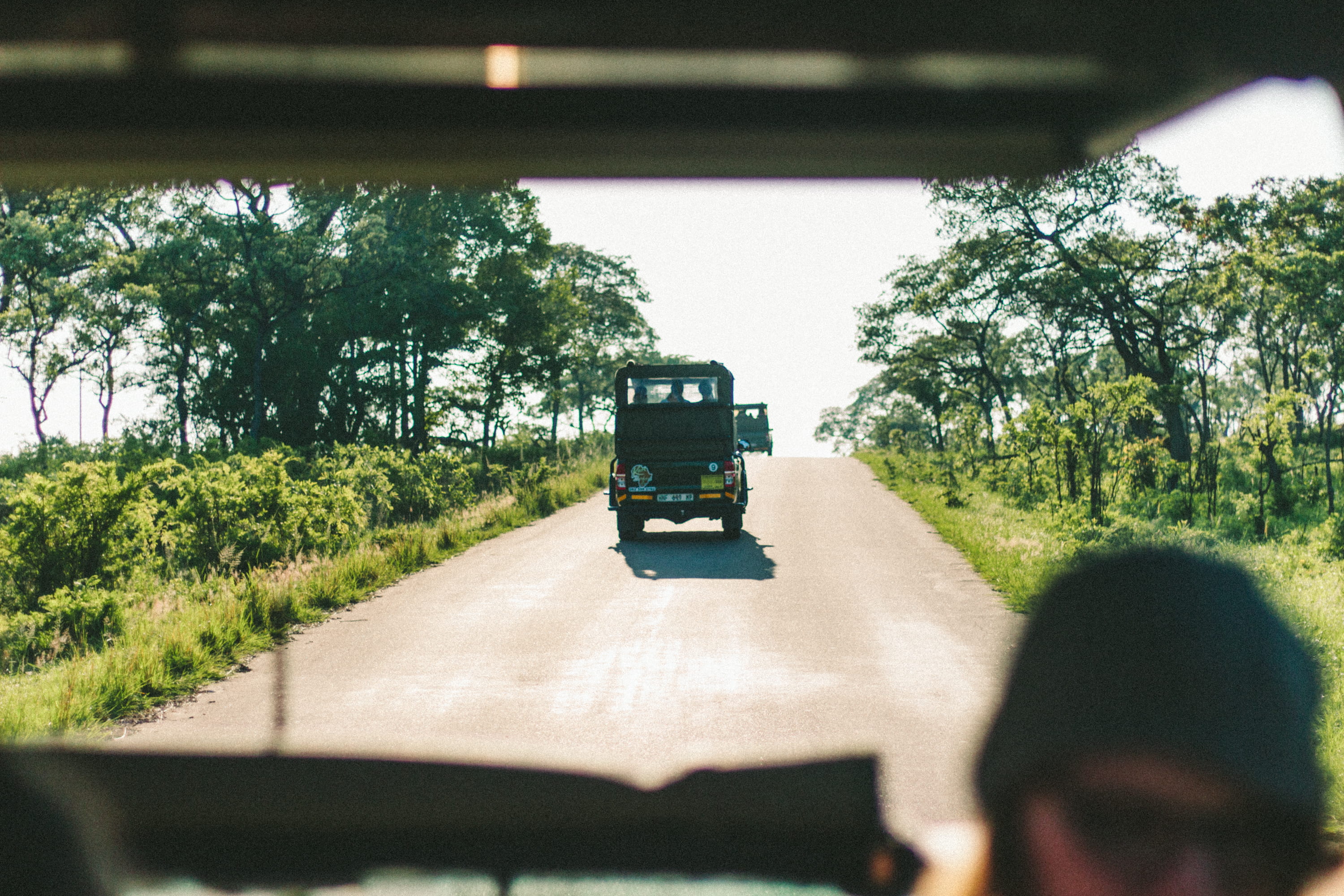 forign, travel, inside, drive, nature, near, black, toyotum, mode of transportation, rear view, men, sitting, daytime, sunlight, growth, vehicle, land vehicle, HD Wallpaper