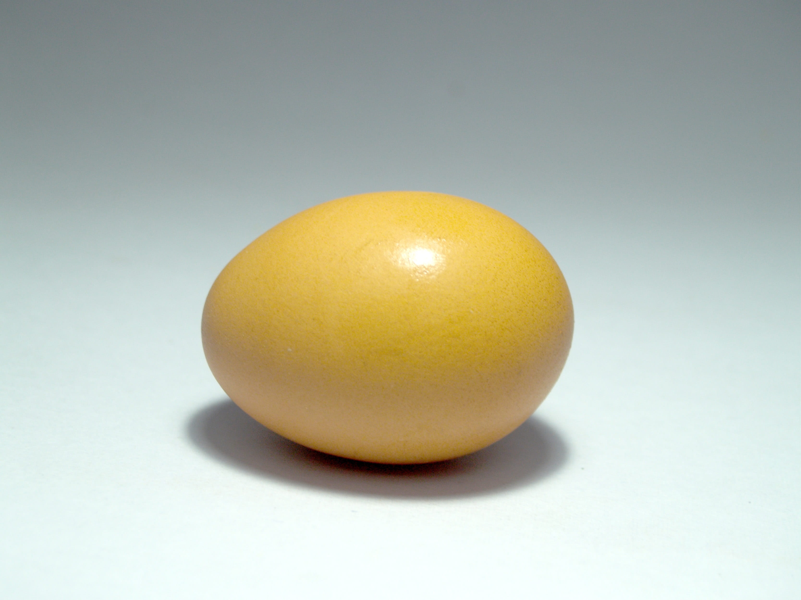 studio shot, fermented, chicken, isolated, animal, wellbeing, Egg, gold, gold colored, oval, 2K, nature, fresh, meal, farm, raw, background, cut out, organic, HD Wallpaper