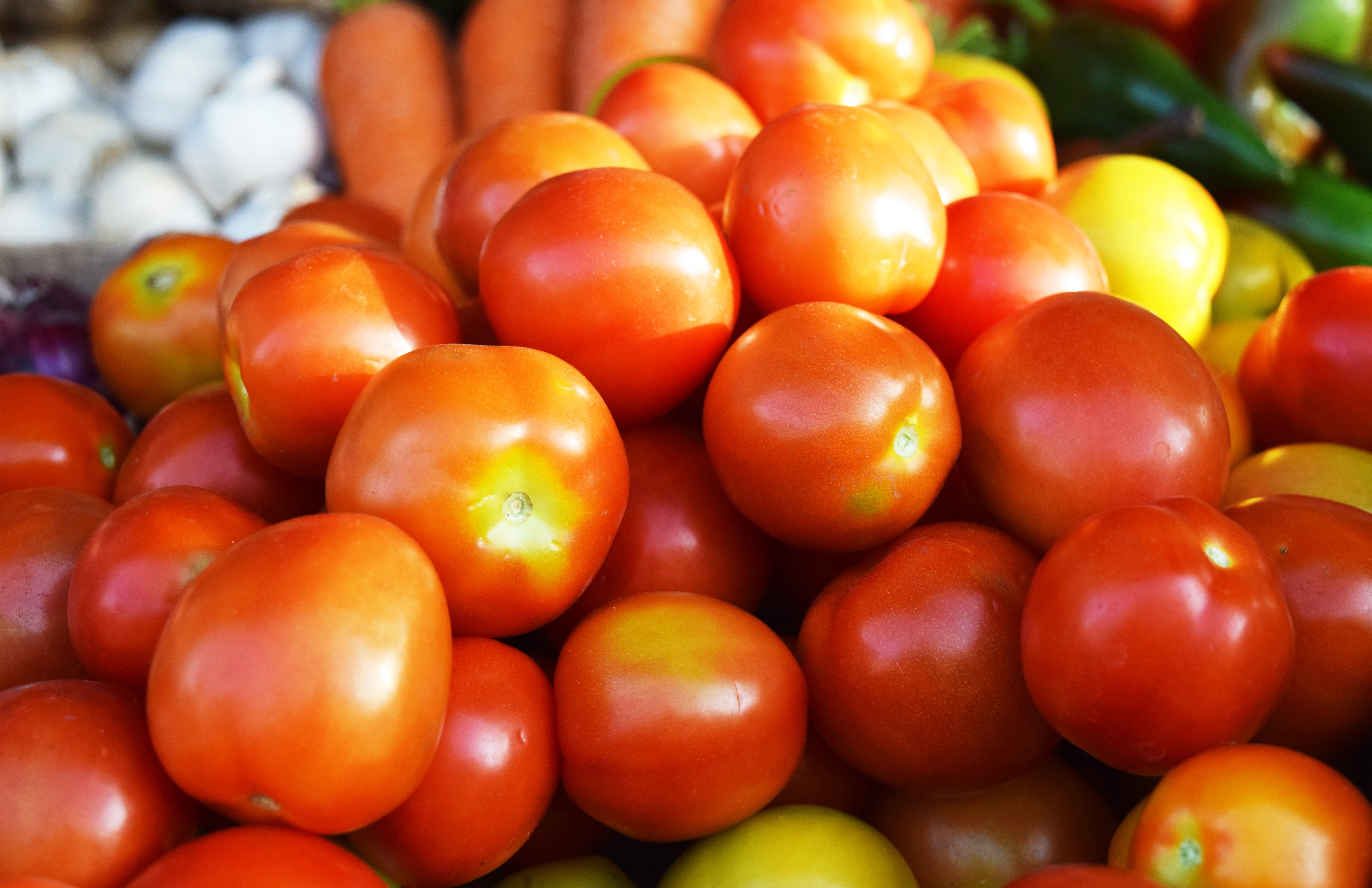 season, large group of objects, sale, many, recipe, juicy, ripe, market stall, nature, 5K, tomatoes, fresh, tomato, red, abundance, grocery, no people, HD Wallpaper