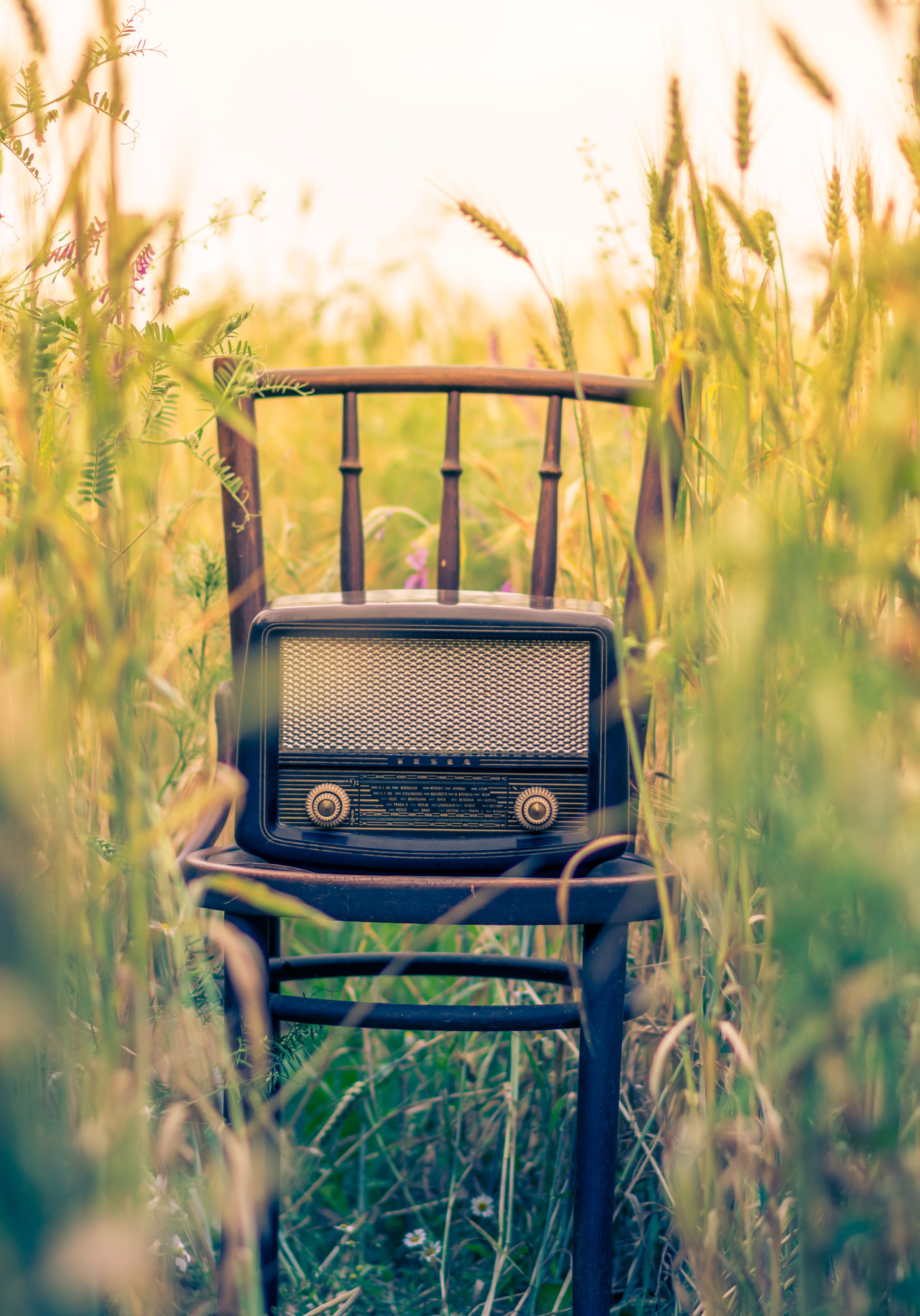 5K, green color, grass, old-fashioned, plant, day, outdoors, close-up, sunlight, nature, field, communication, land, arts culture and entertainment, selective focus, Phone HD Wallpaper