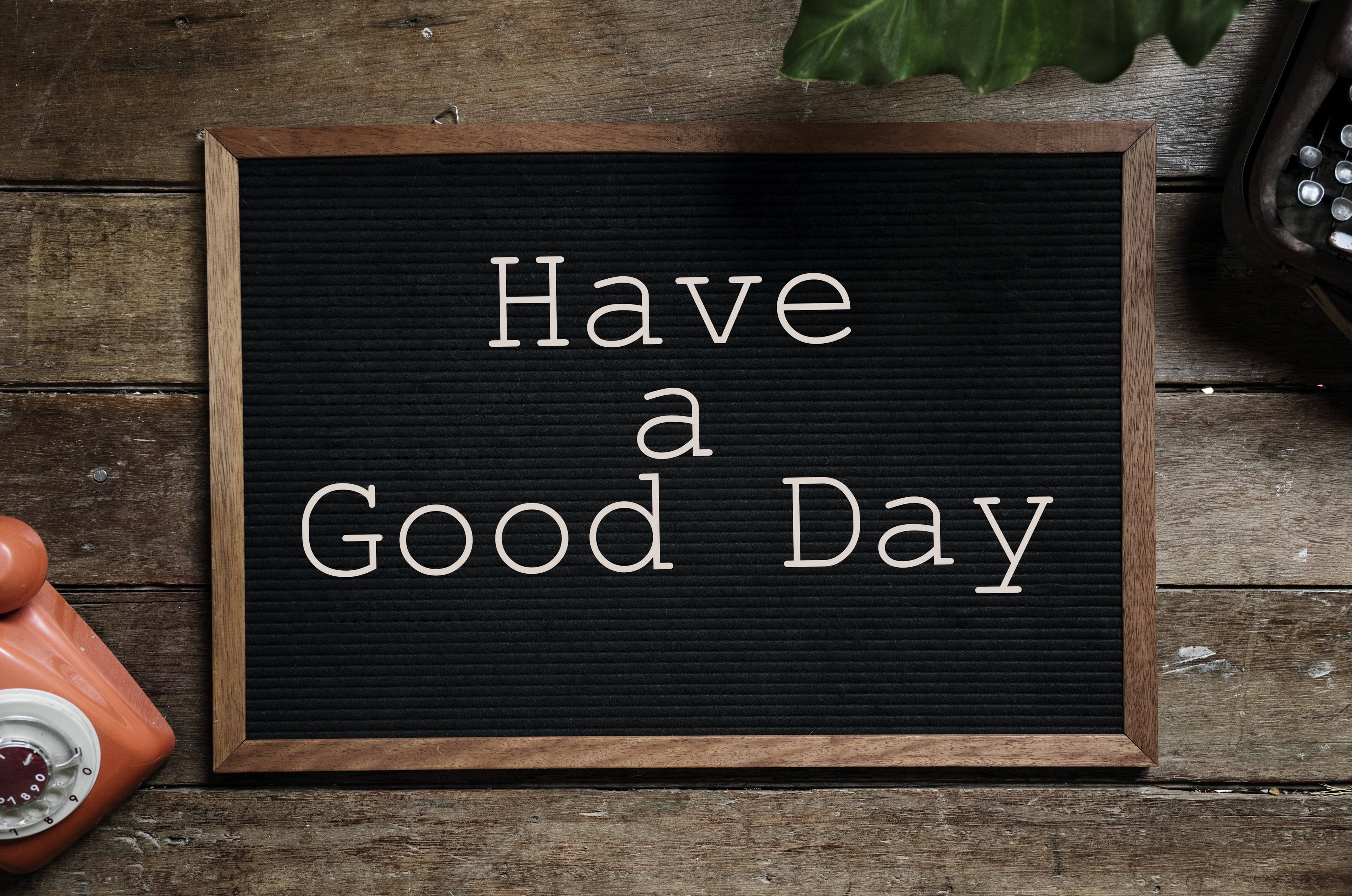 human hand, antique, picture, decorate, human body part, black board, blackboard, up, directly above, chalkboard, number, board, space, sign, indoors, western script, HD Wallpaper