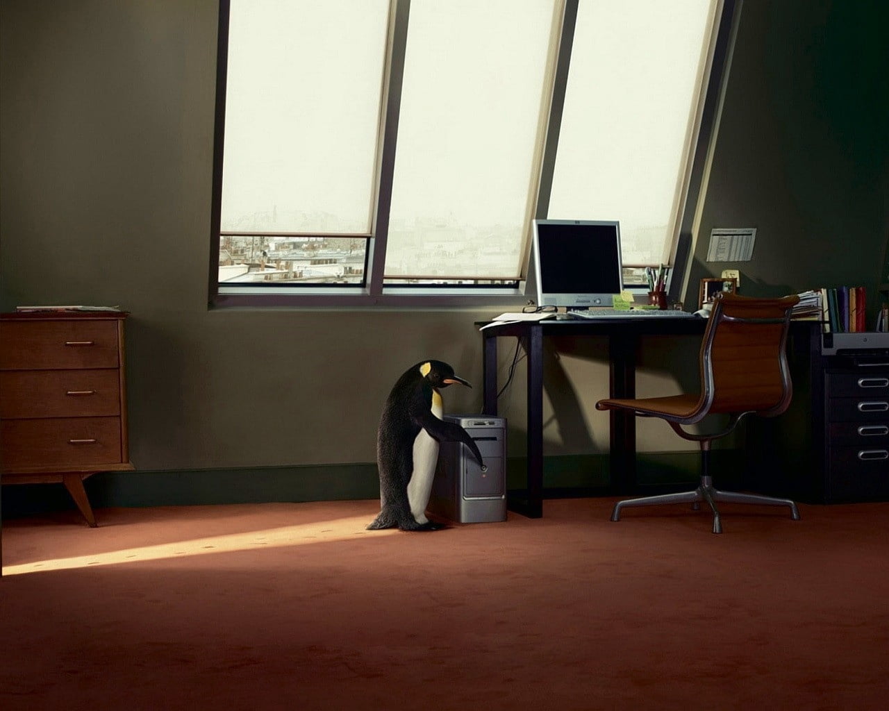 chair, businesswoman, home, office, desktop pc, seat, os, 720P, day, business, manager, men, internet, computer Monitor, working, penguin, table, computer, HD Wallpaper