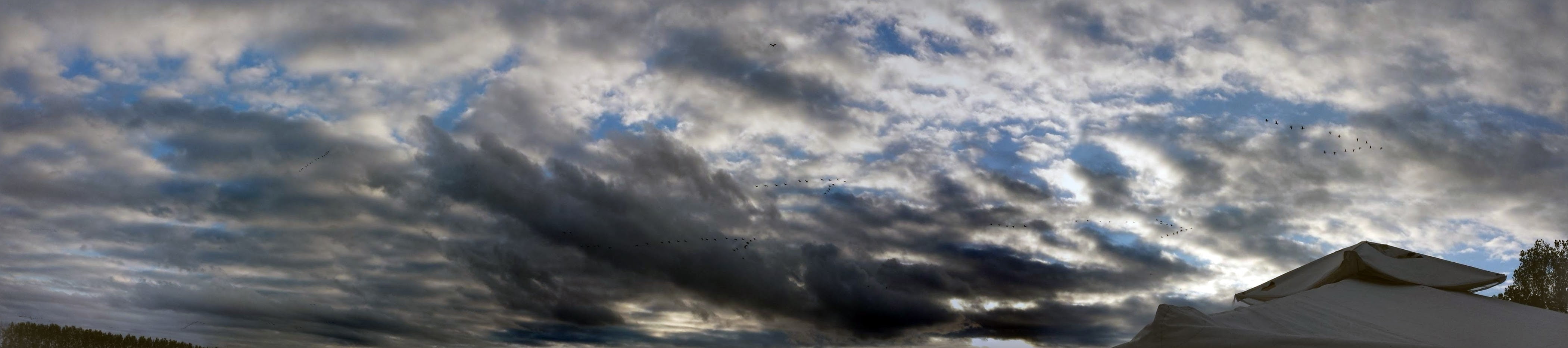 winter, cloud - sky, painting, cloudscape, building exterior, geese, low angle view, day, scenics - nature, sky, ominous, 4K, blue, built structure, outdoors, HD Wallpaper