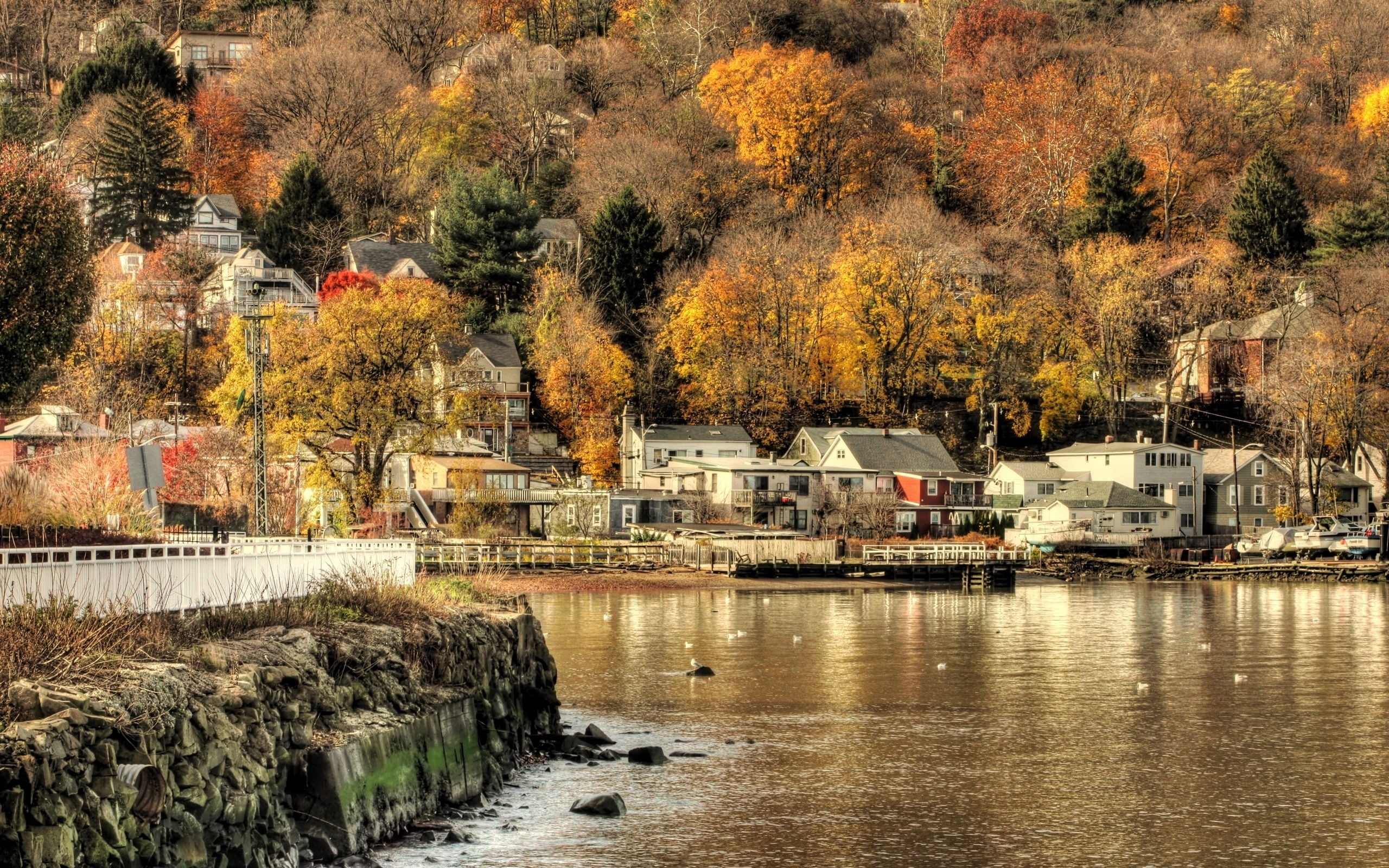 red, tranquil Scene, building Exterior, day, color Image, waterfront, building, leafed, lake, tree, orange Color, new England - Usa, village, plant, house, HD Wallpaper