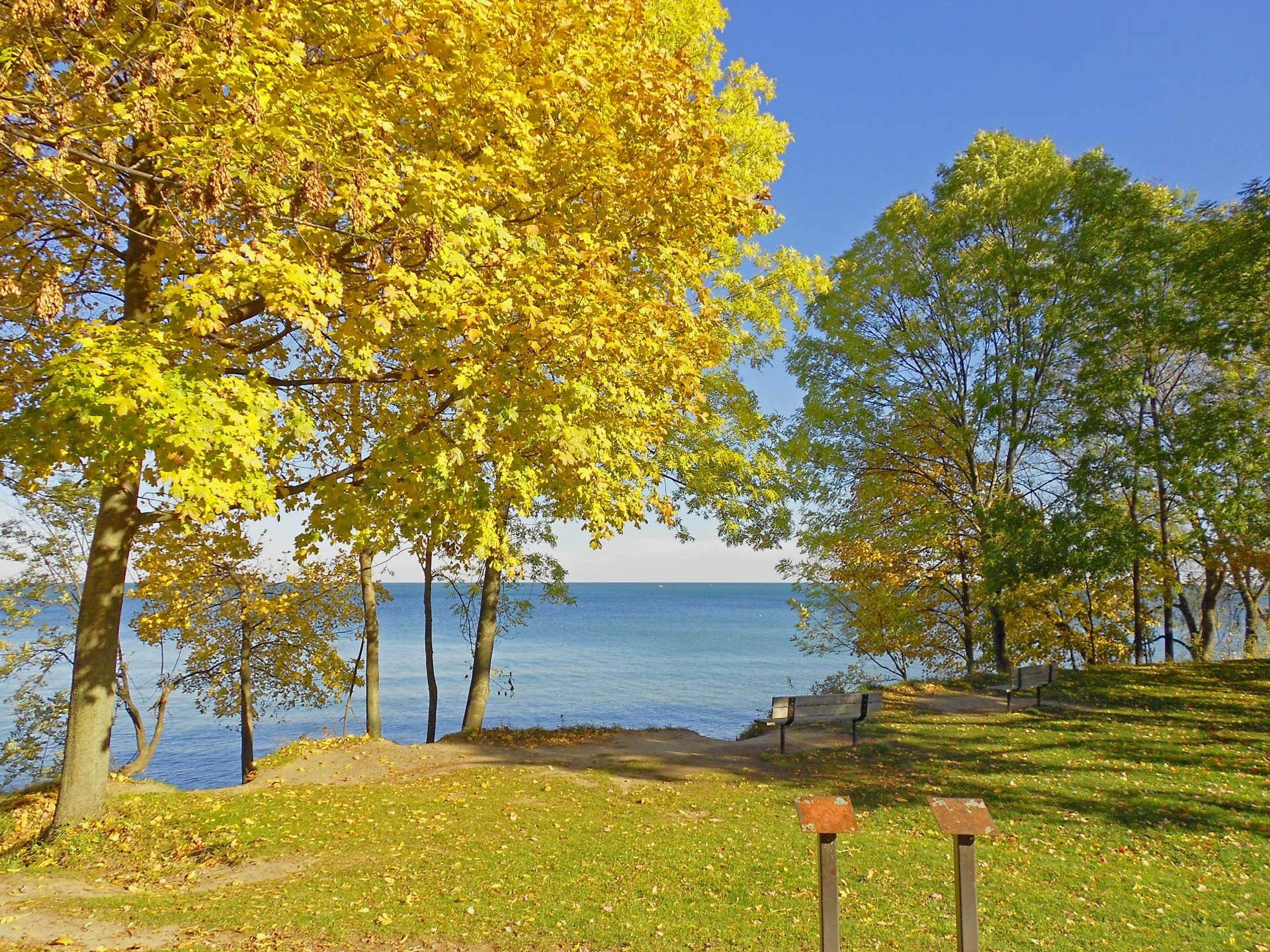 trees, outdoors, yellow, land, fall, tree, change, colors, water, beauty In Nature, scenics - nature, blue, plant, lake, meadow, woodland, color Image, HD Wallpaper