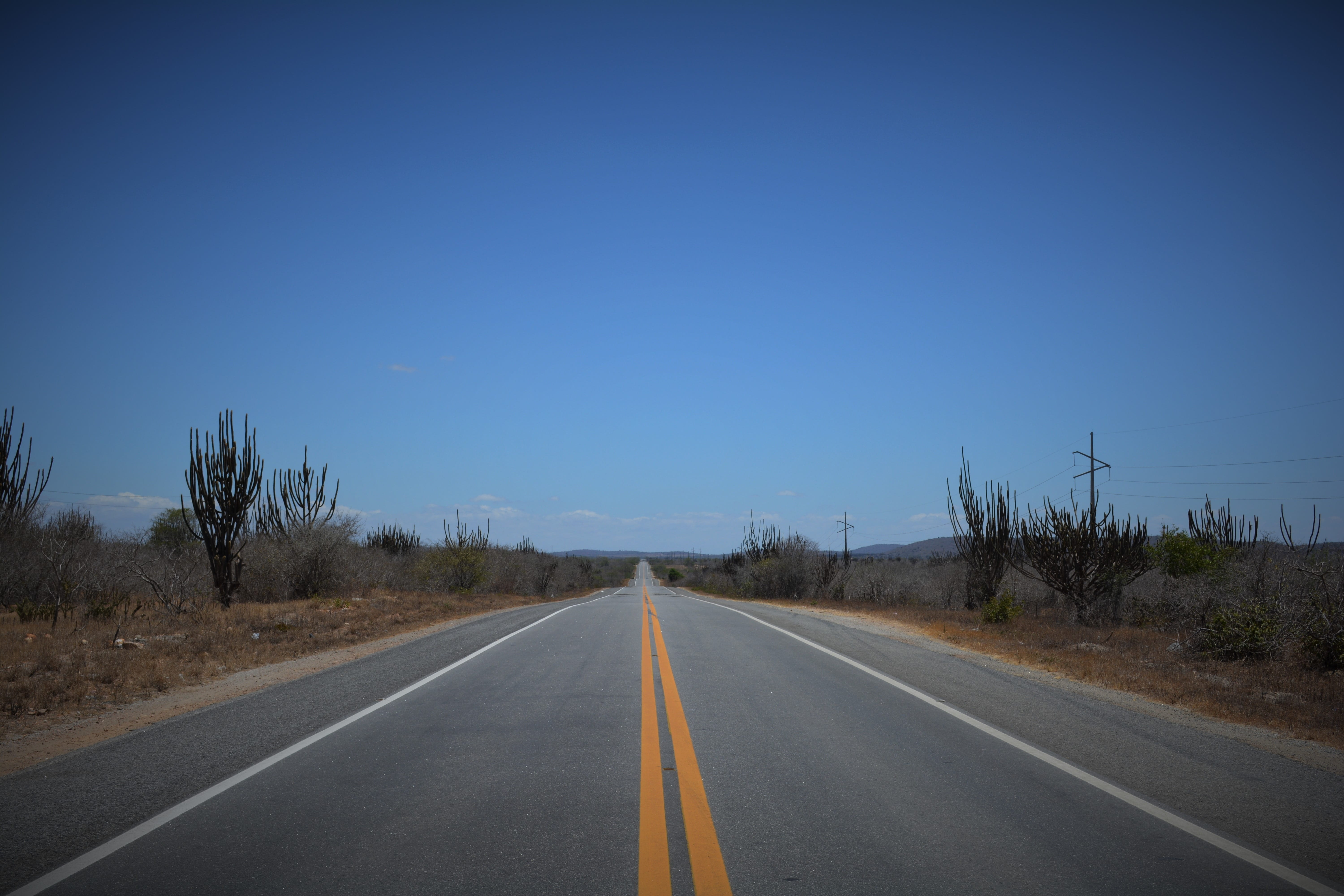 dividing line, tranquil scene, double yellow line, sign, backcountry, sky, tree, nature, clear sky, no people, diminishing perspective, direction, road, HD Wallpaper