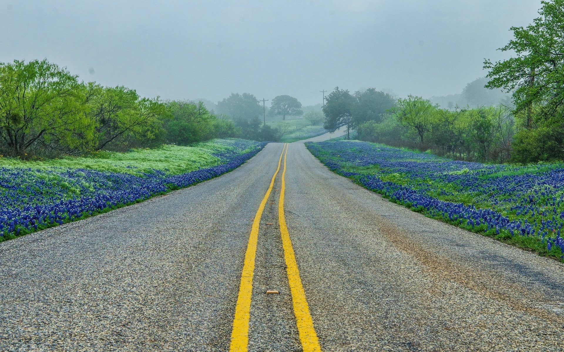sky, vanishing point, nature screen backgrounds 1920x1200, road, the way forward, empty road, long, diminishing perspective, dividing line, marking, beauty in nature, HD Wallpaper