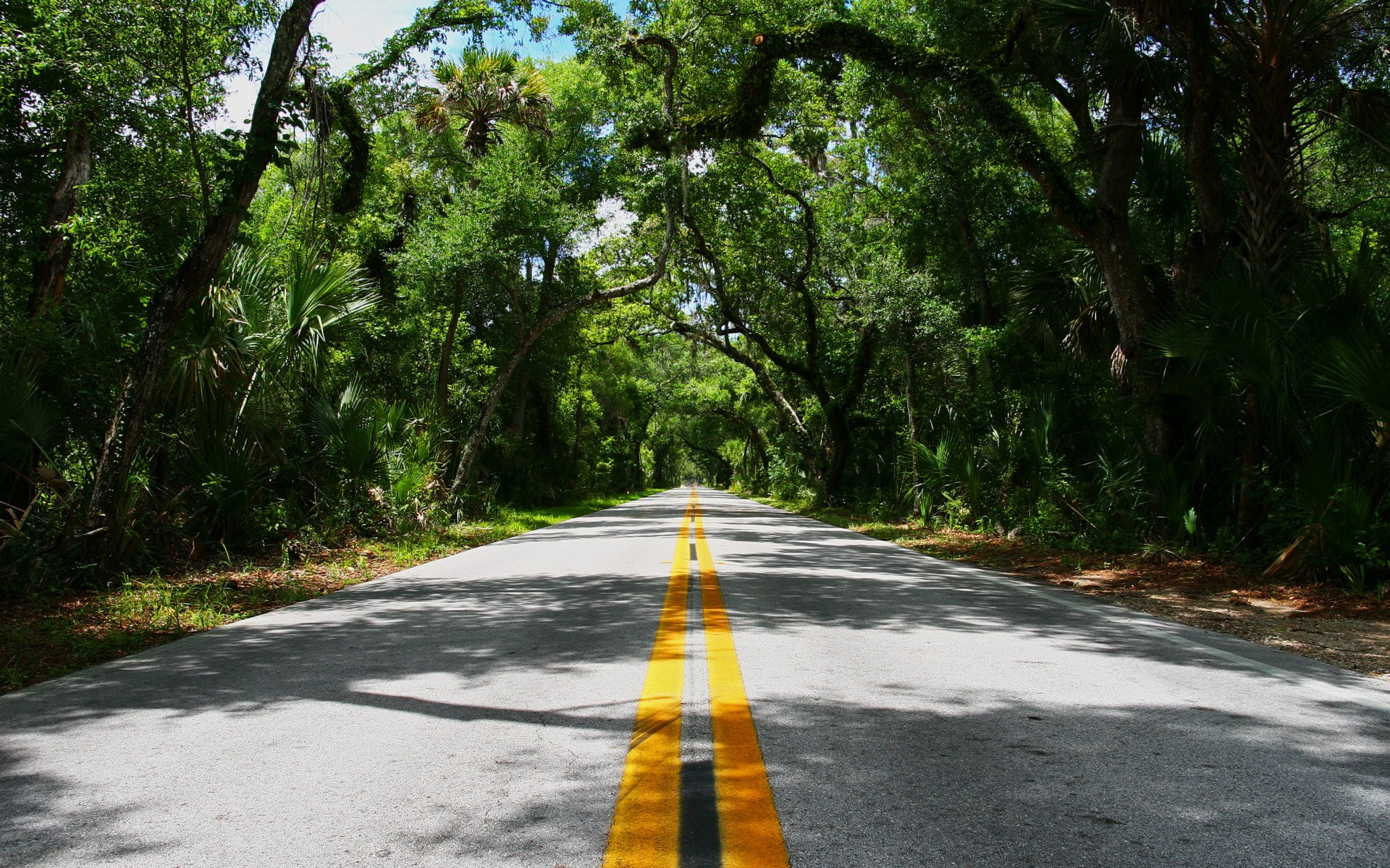 outdoors, road, 1080P, asphalt, symbol, road marking, direction, beauty in nature, day, sign, green color, transportation, plant, tree, dividing line, HD Wallpaper