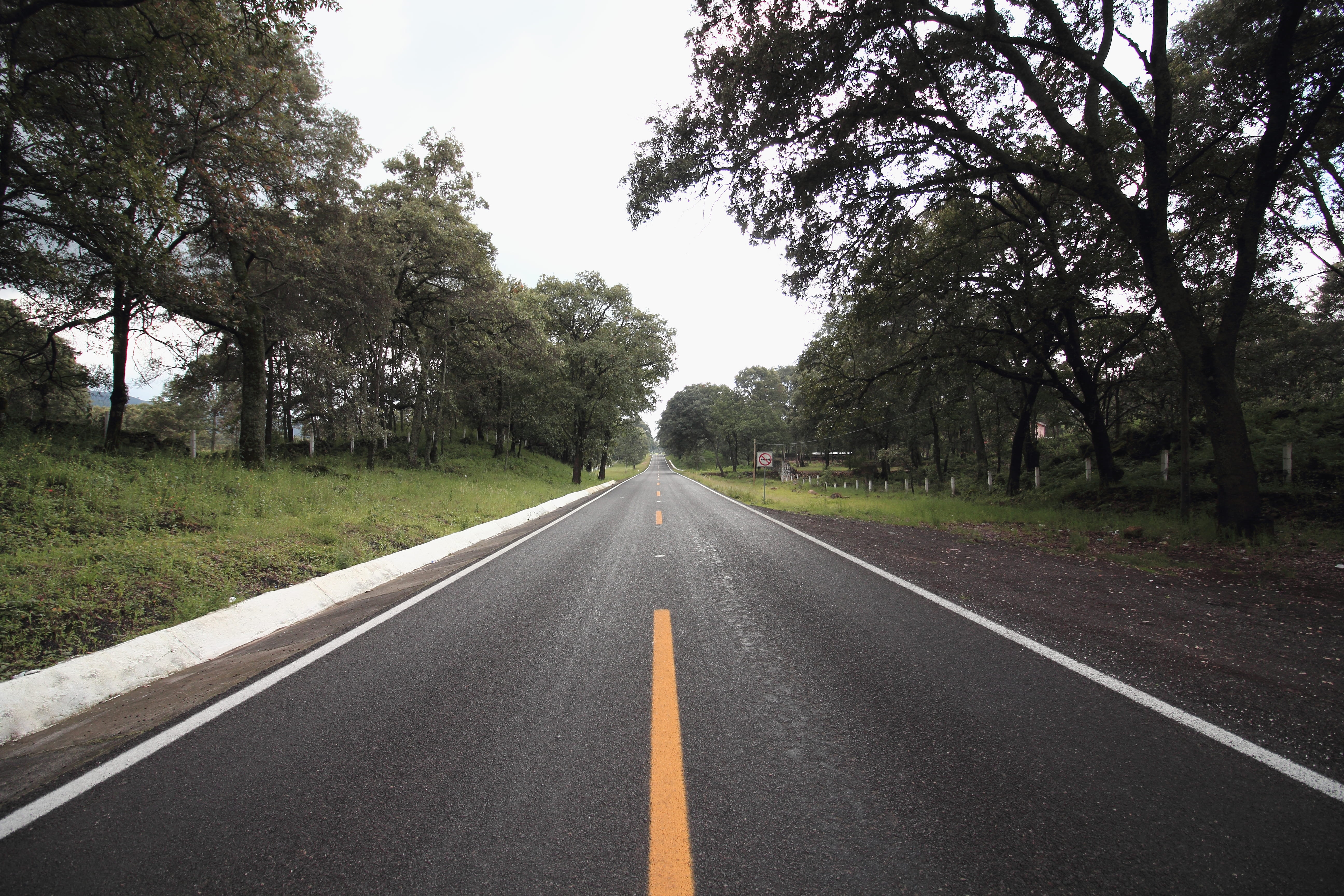 vanishing point, plant, trees, symbol, mexico, trip, travel, direction, dividing line, nature, morelia, road, outdoors, empty road, marking, sky, tree, HD Wallpaper