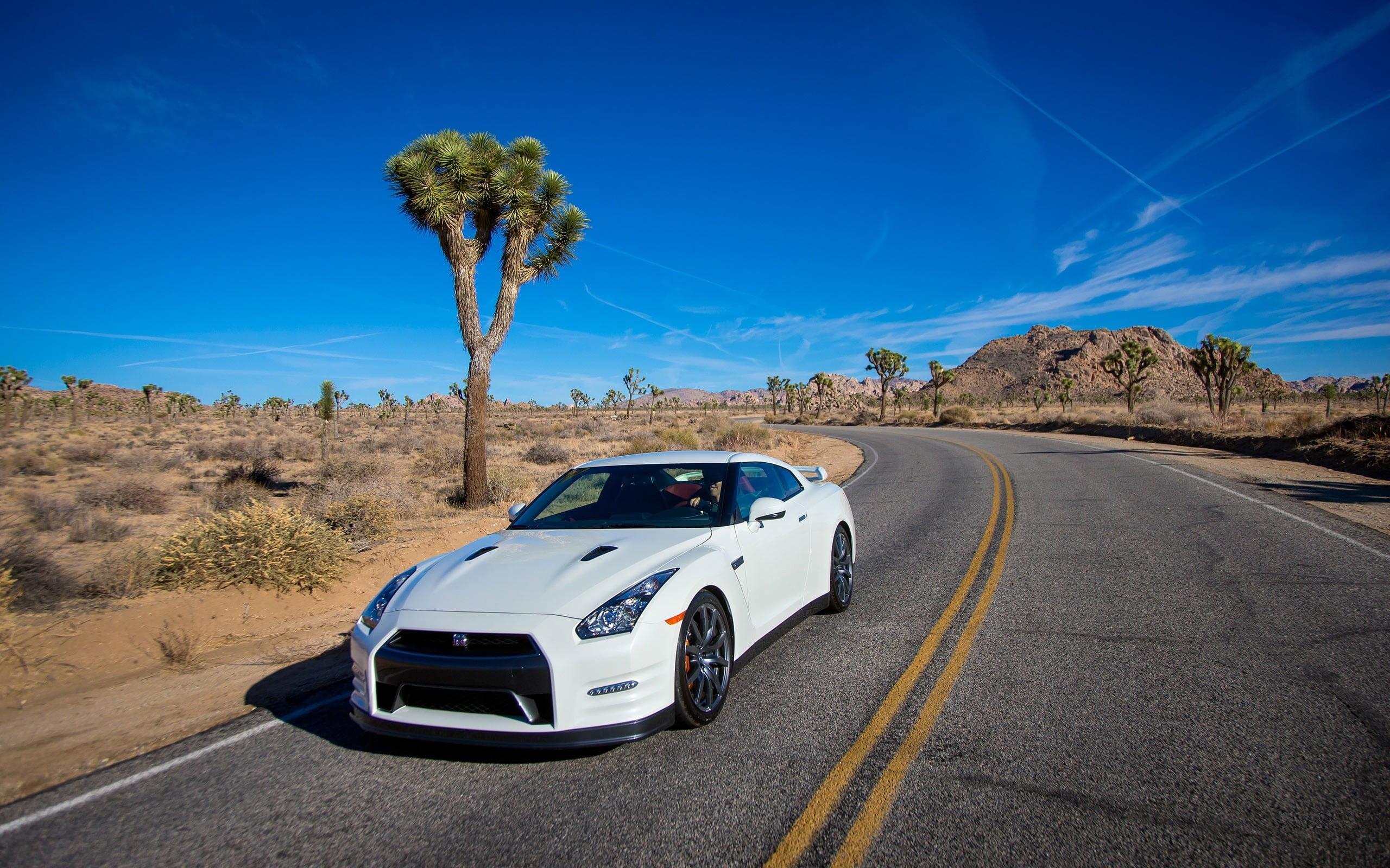 sunlight, extreme Terrain, no People, white, 2014, sports Car, turn, speed, day, california, transportation, scenics, car, uSA, travel, r, sky, mode of Transport, HD Wallpaper