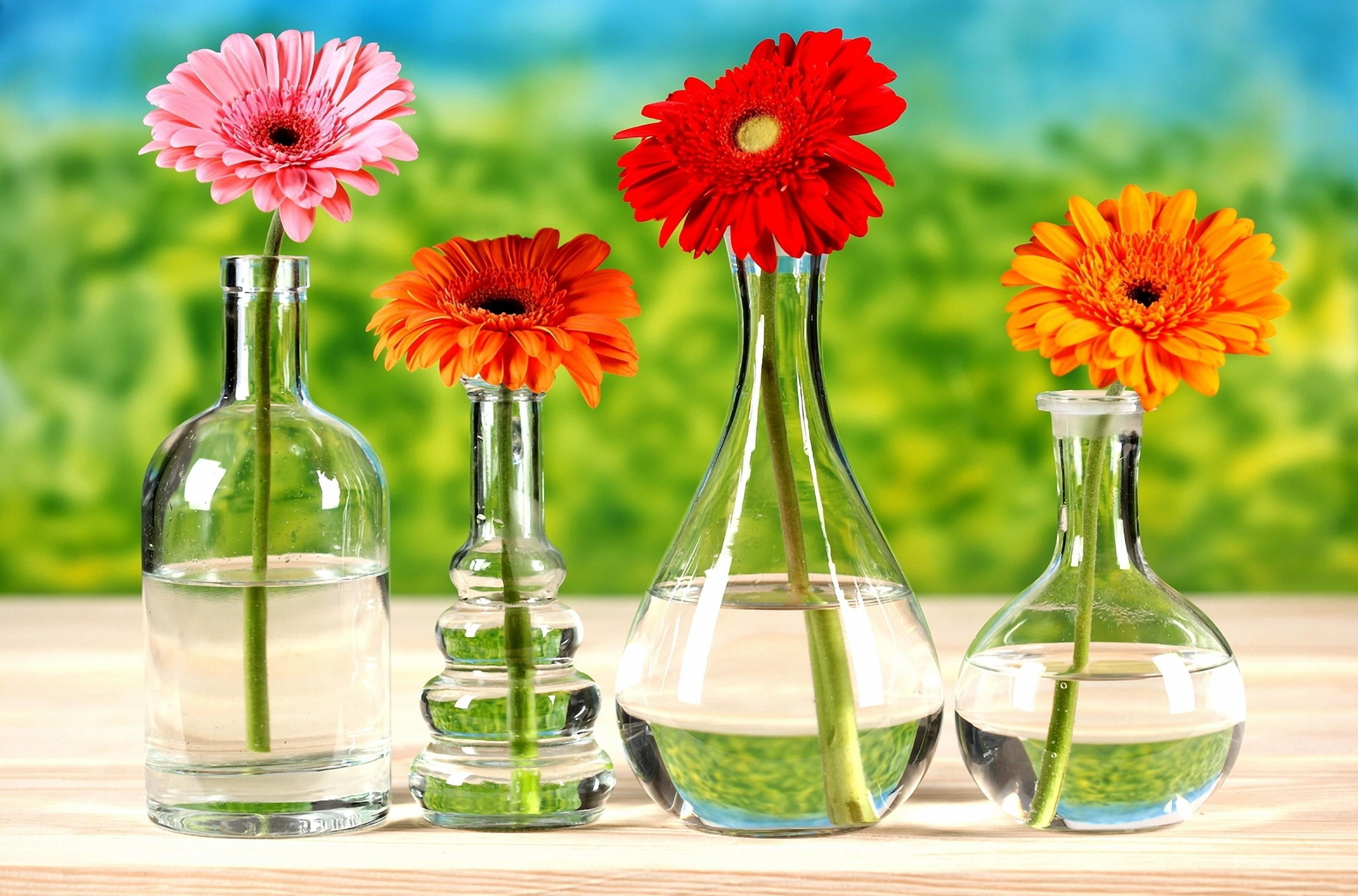 backgrounds, multi Colored, beauty in nature, liquid, no People, vase, daisy, fragility, freshness, inflorescence, flowers, yellow, bright, science, petal, HD Wallpaper