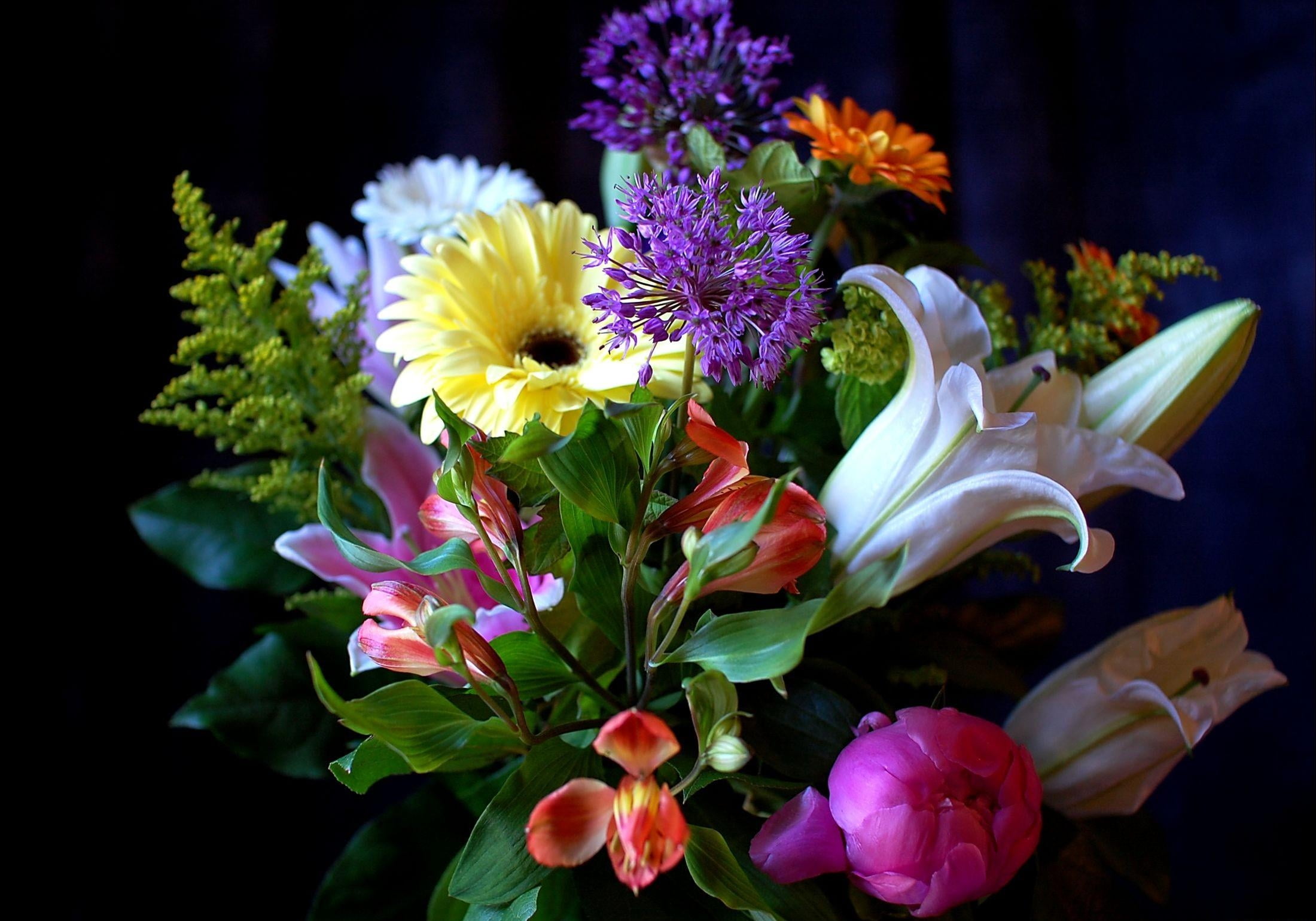 freshness, leaf, petaled, summer, decoration, blossom, assorted, flower, gerberas, choice, no People, indoors, single Flower, composition, flower arrangement, HD Wallpaper