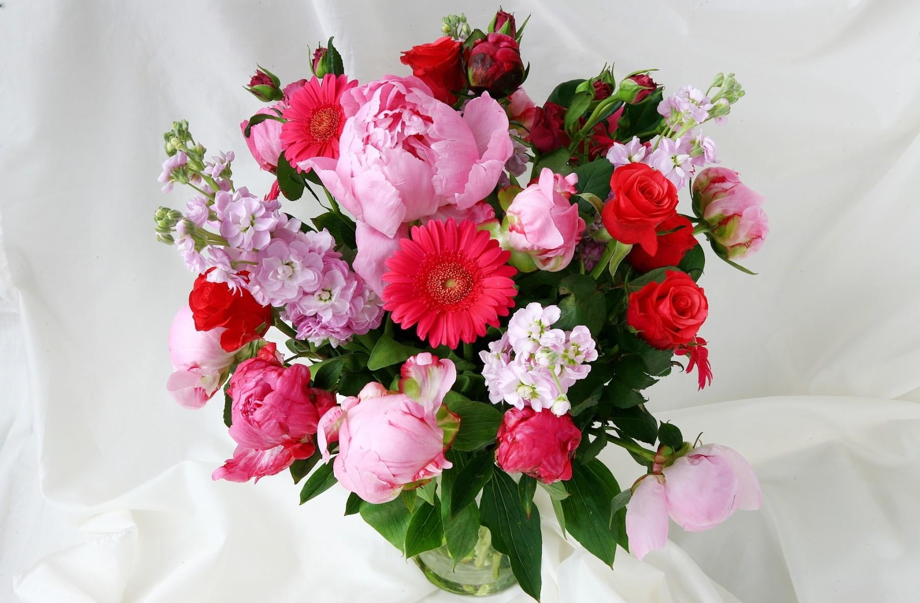 elegance, leaf, decoration, arrangement, anniversary, roses, pink, red, gift, freshness, petaled, white, rose - Flower, mattioli, herbs, gerbera, vase, HD Wallpaper