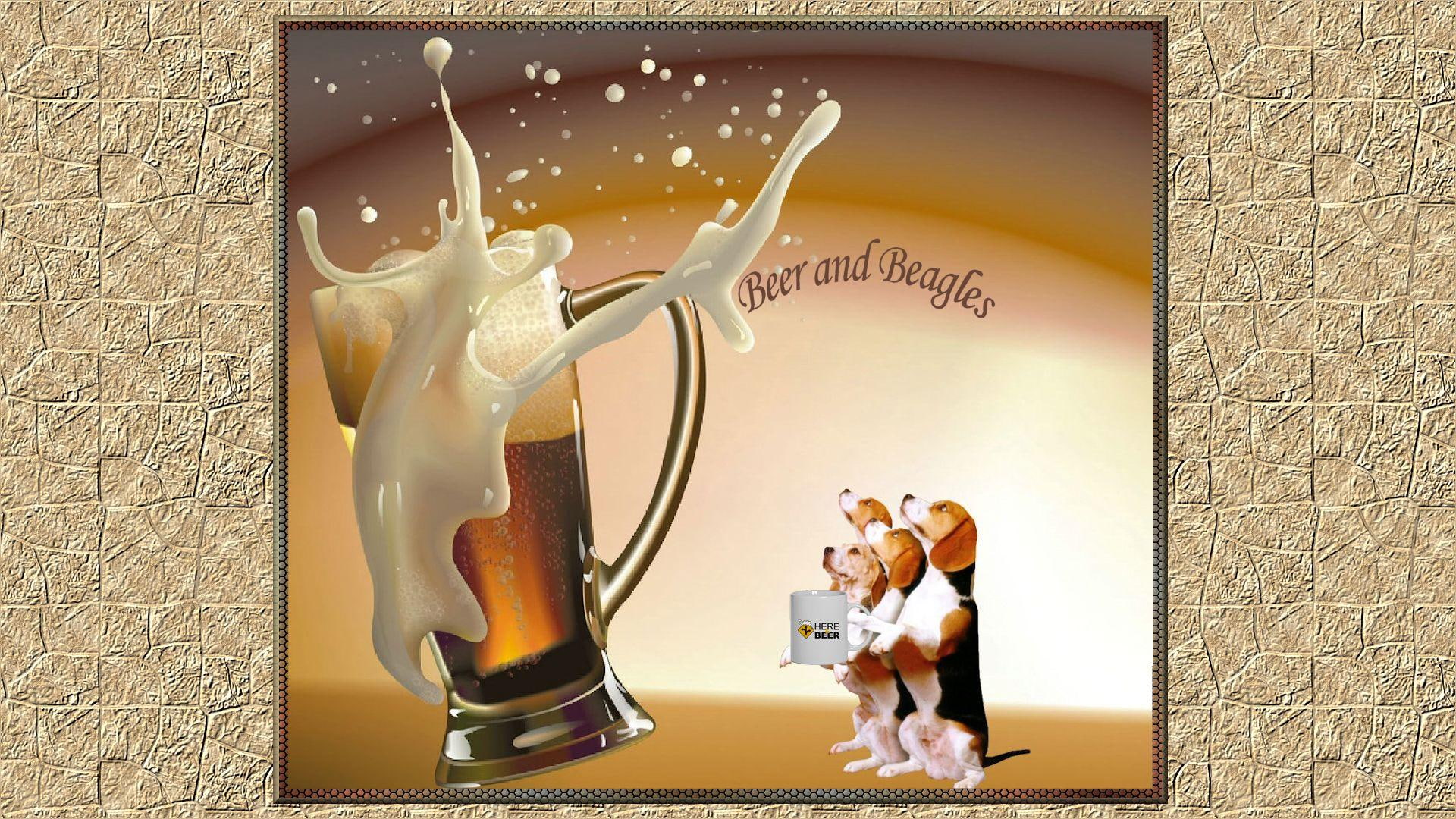 beer, drink, animals, 1080P, dogs, beagles, HD Wallpaper
