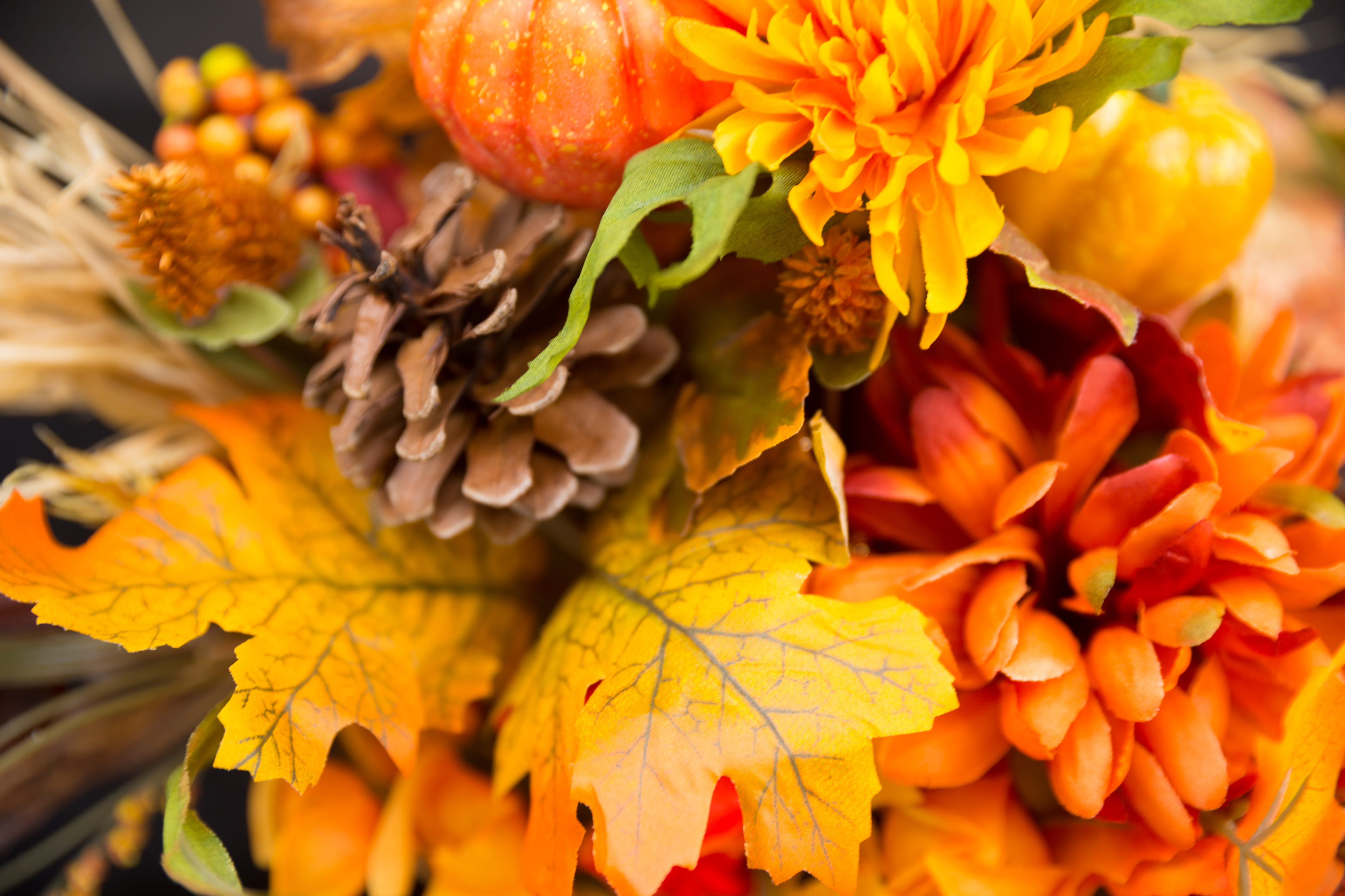 change, nature, greeting, plant, cone, close-up, outdoors, autumn, spring, thanksgiving flowers, pine, holiday, leaf, garden, food, decoration, yellow, HD Wallpaper
