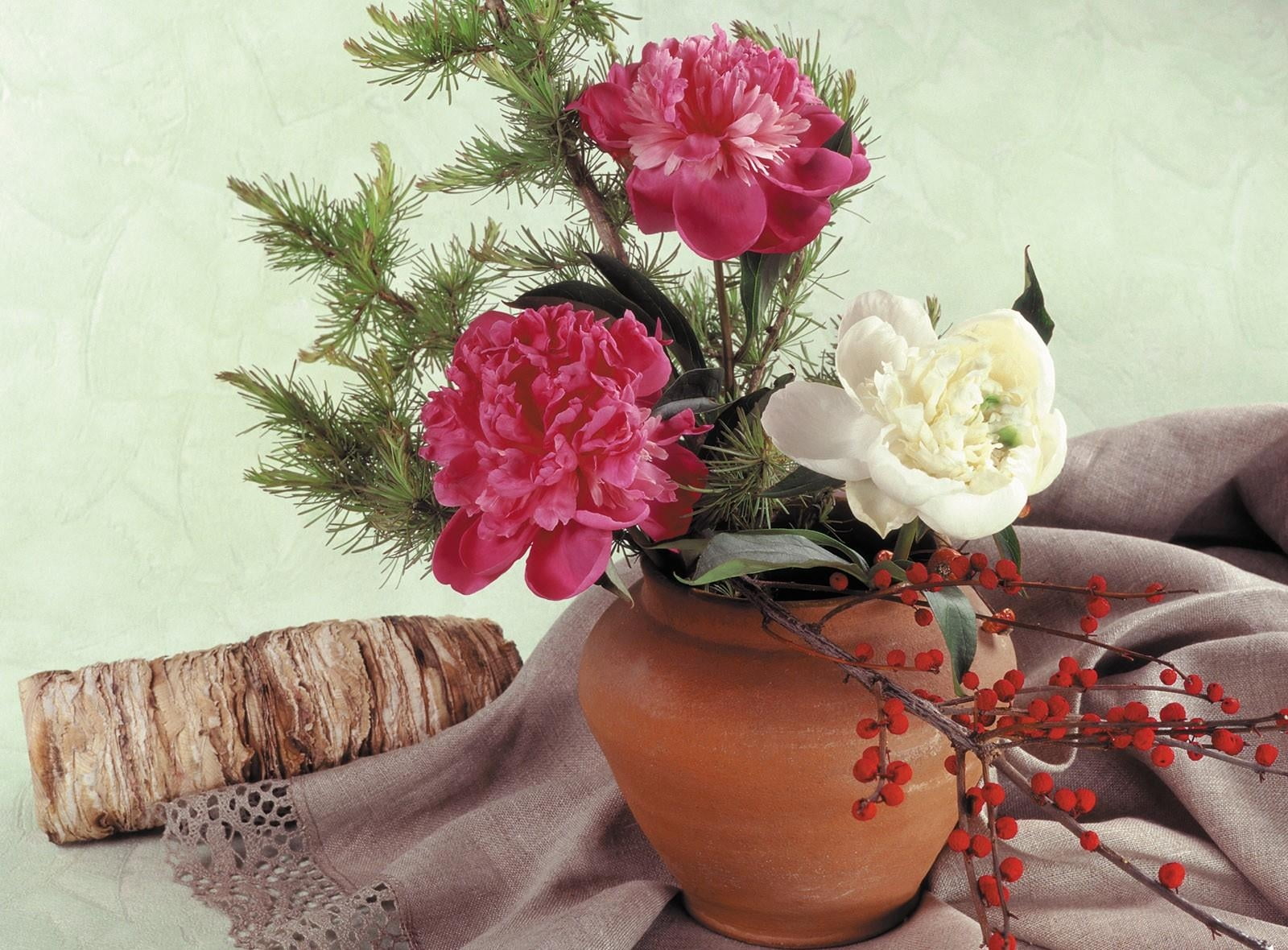 freshness, inflorescence, close-up, plant, pot, gift, flower, rose - Flower, season, thread, pink Color, table, tablecloth, nature, decoration, 720P, elegance, HD Wallpaper