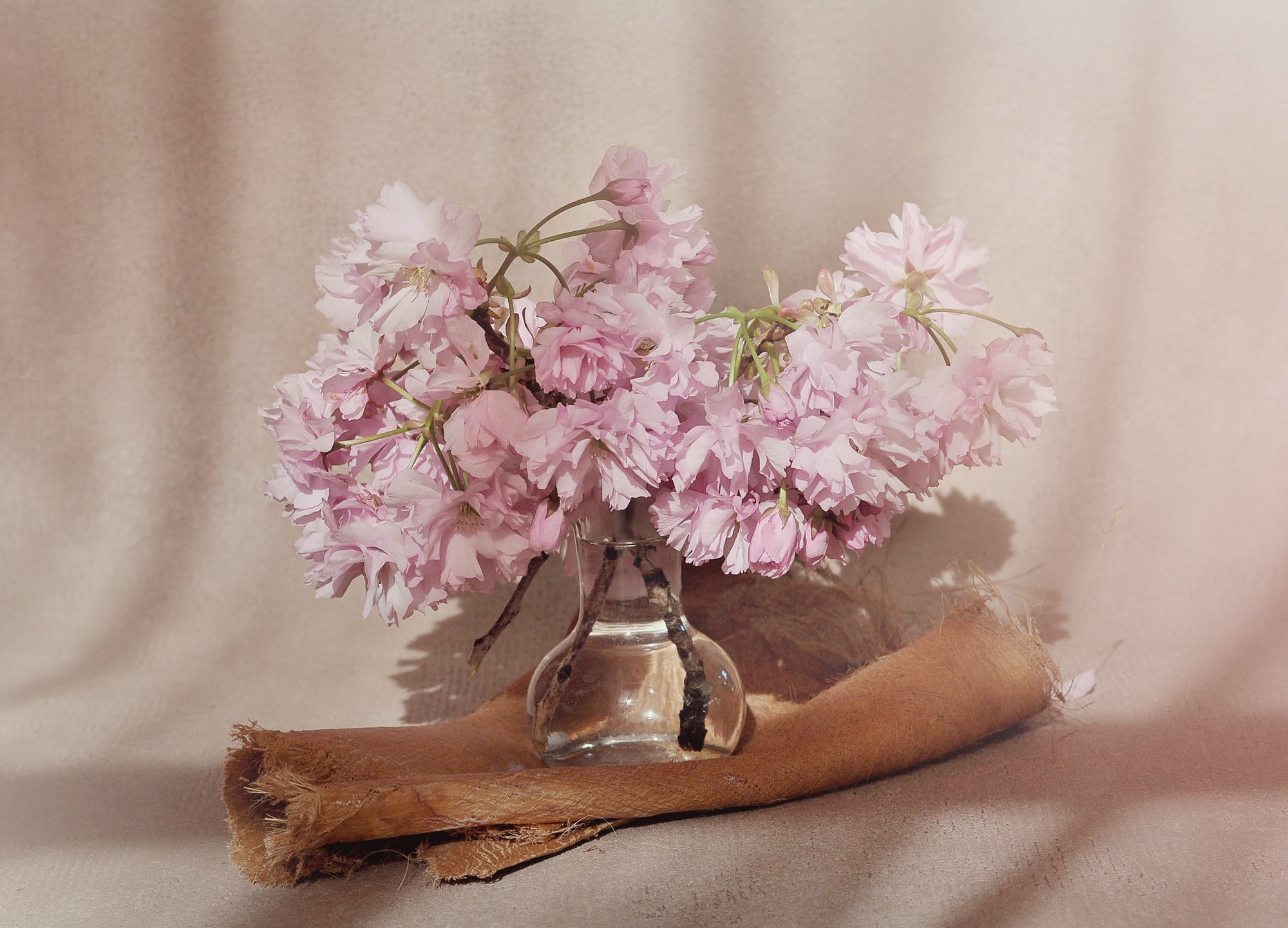 no people, flowers photography, pink, flowers, vulnerability, freshness, beauty in nature, nature, fragility, 1080P, bunch of flowers, centerpiece, still life, HD Wallpaper