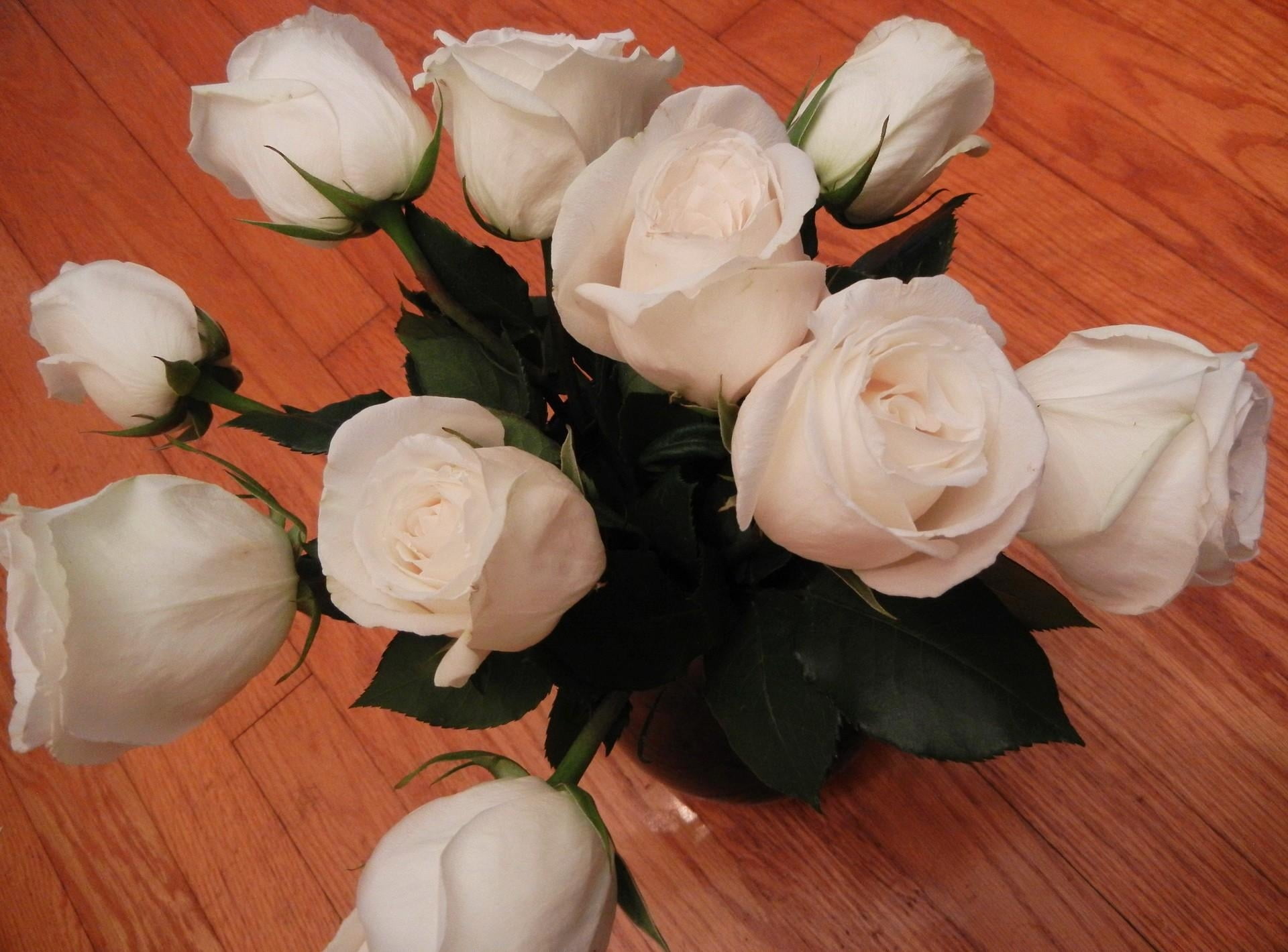 wood, close-up, flowering plant, vulnerability, plant, backgrounds, arrangement, flower arrangement, roses, rose, 1080P, bunch, no People, bouquet, bunch of flowers, HD Wallpaper
