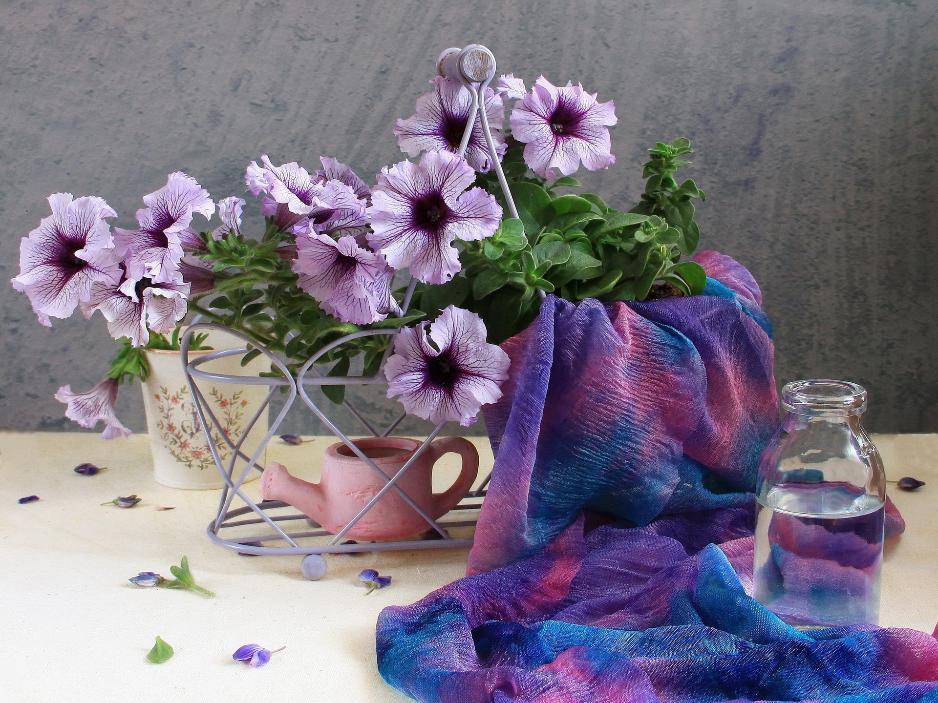 centerpiece, glass, petals, softness, pink Color, arrangement, inflorescence, beauty in nature, vase, 1080P, bouquet, vulnerability, watering can, flower arrangement, HD Wallpaper