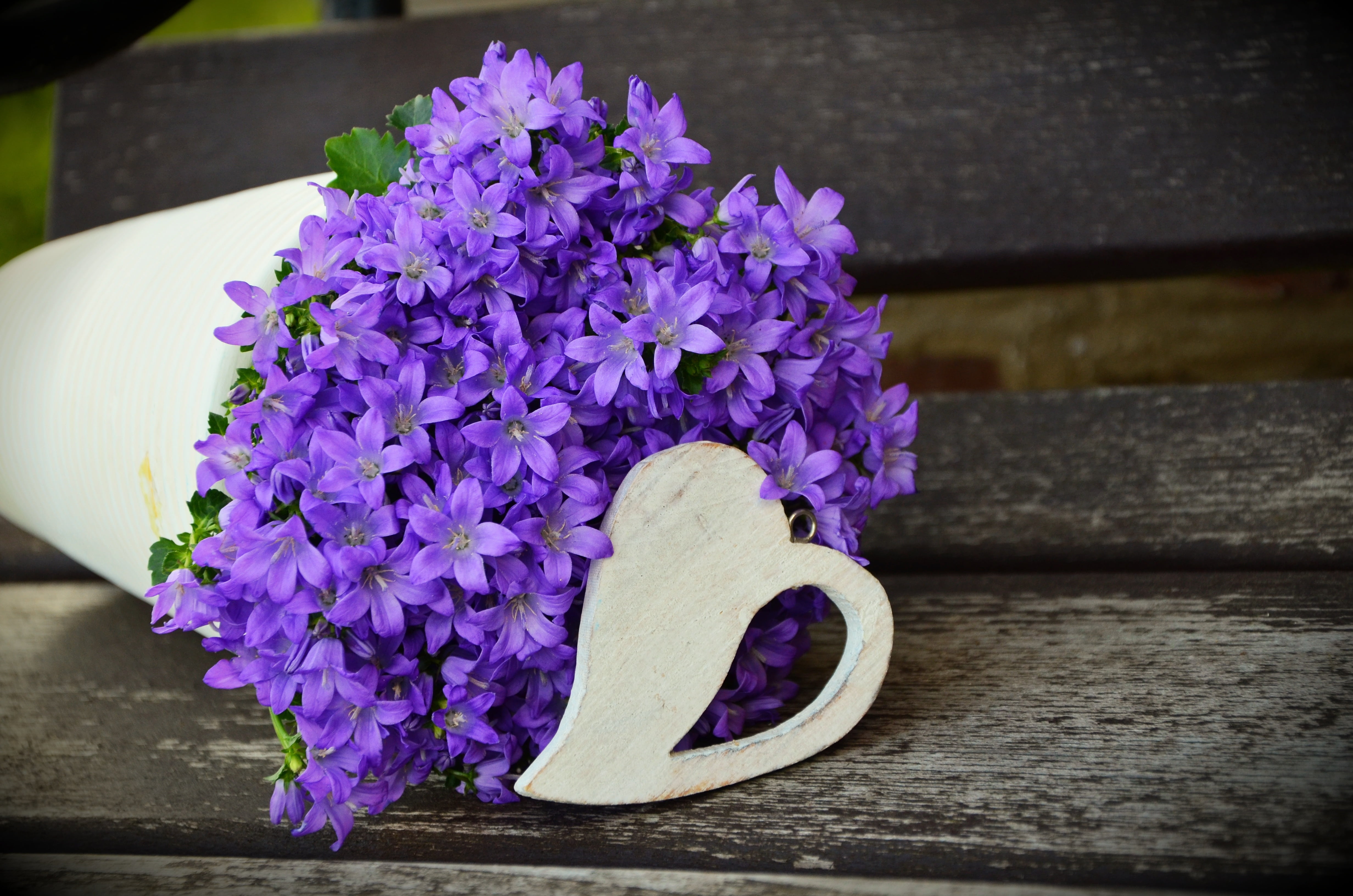 petal, table, flower, bouquet, nature, vulnerability, blue, indoors, no people, flowering plant, greeting card, purple, floral greeting, flowers, vase, HD Wallpaper