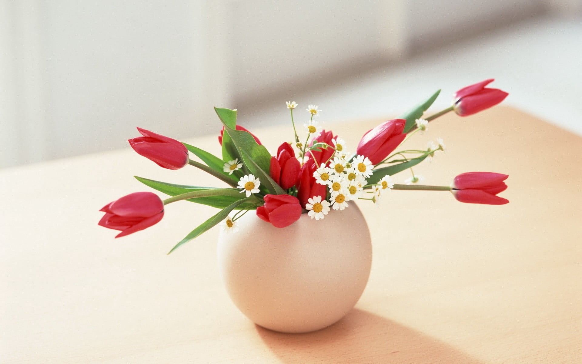 nature, freshness, daisies, romance, leaf, 1080P, colors, vase, red, tulips, table, vulnerability, easter, ornate, still life, green Color, white, celebration, HD Wallpaper