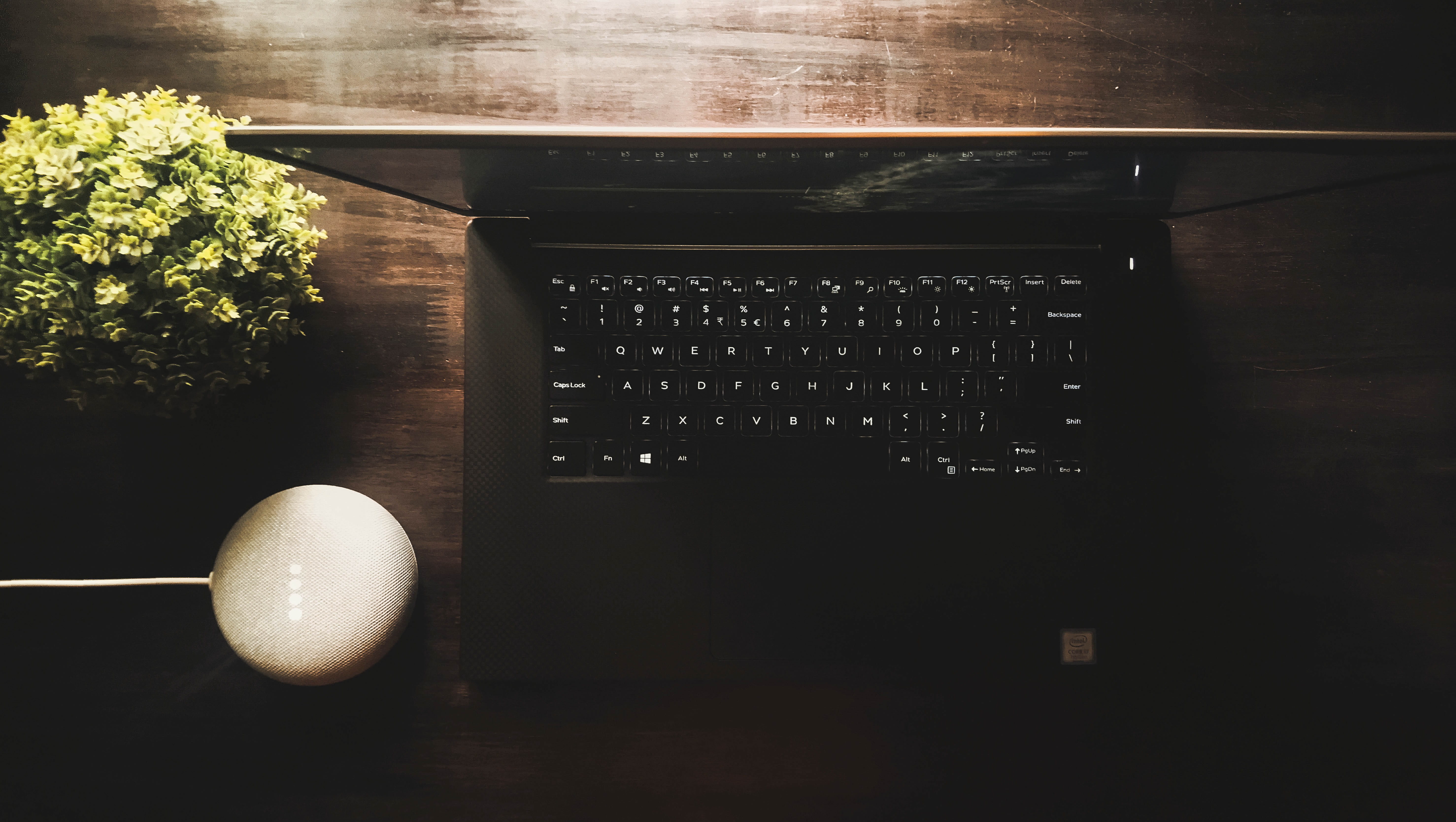 nature, high angle view, indoors, close-up, 5K, day, calm, arts culture and entertainment, still life, wall, laptop, workspace, computer, architecture, HD Wallpaper