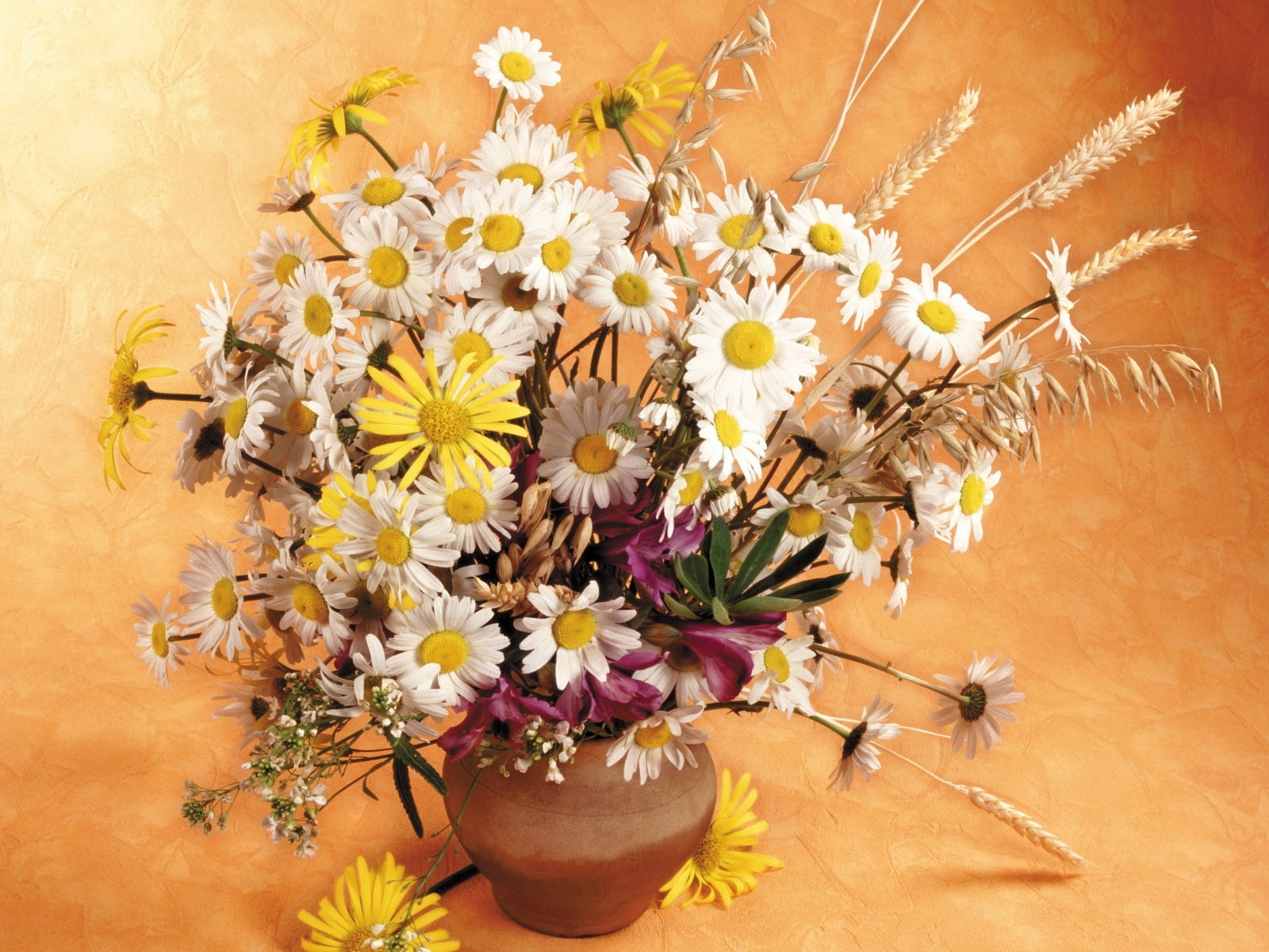 multi Colored, autumn, blossom, centerpiece, arrangement, flower, 720P, flower arrangement, nature, ears, no People, springtime, pitcher, freshness, color Image, HD Wallpaper