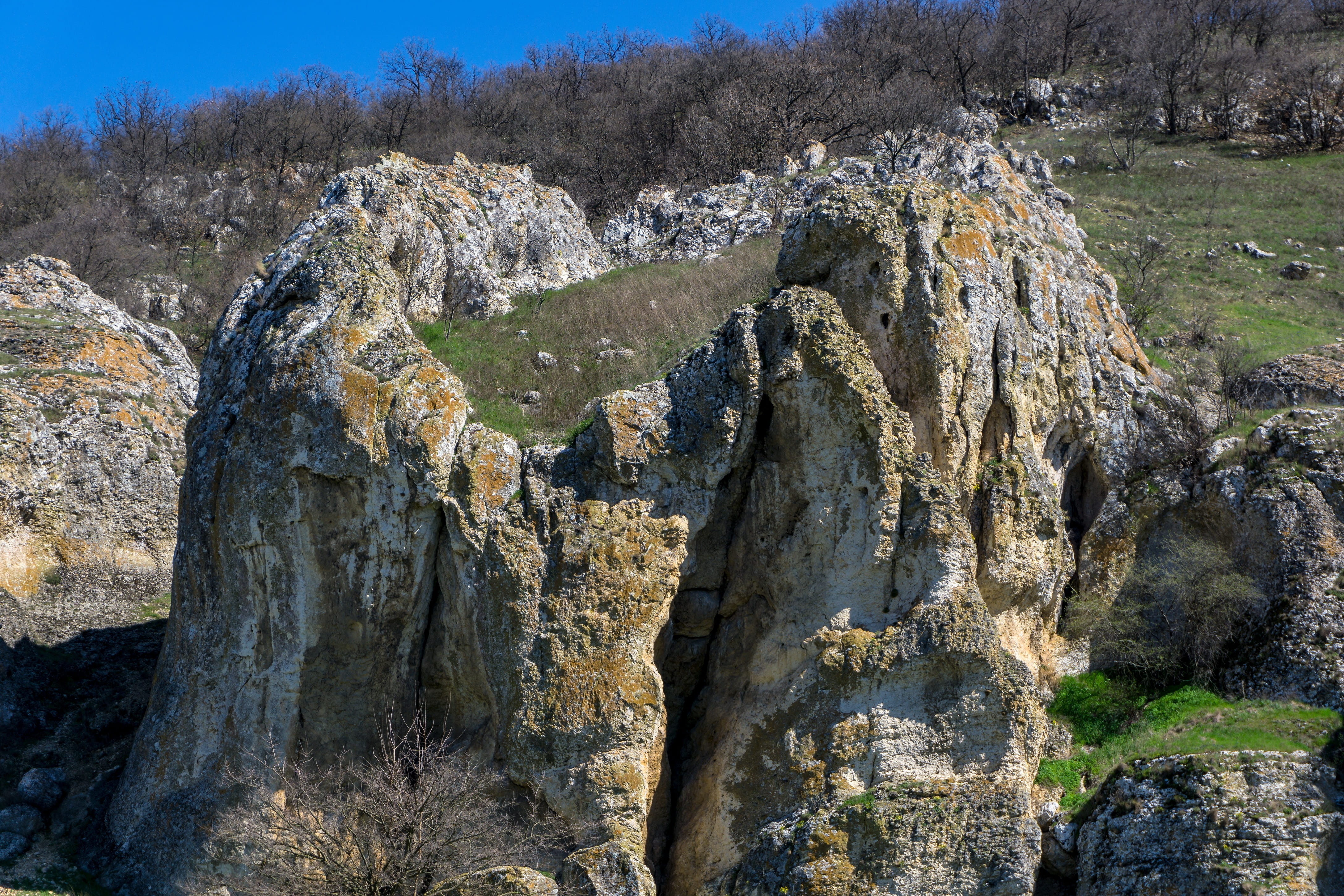 green, rock, scenics - nature, tranquil scene, formation, 4K, nature, day, forest, herbs, fairy tale, the atmosphere, travel destinations, flowers, stone, HD Wallpaper