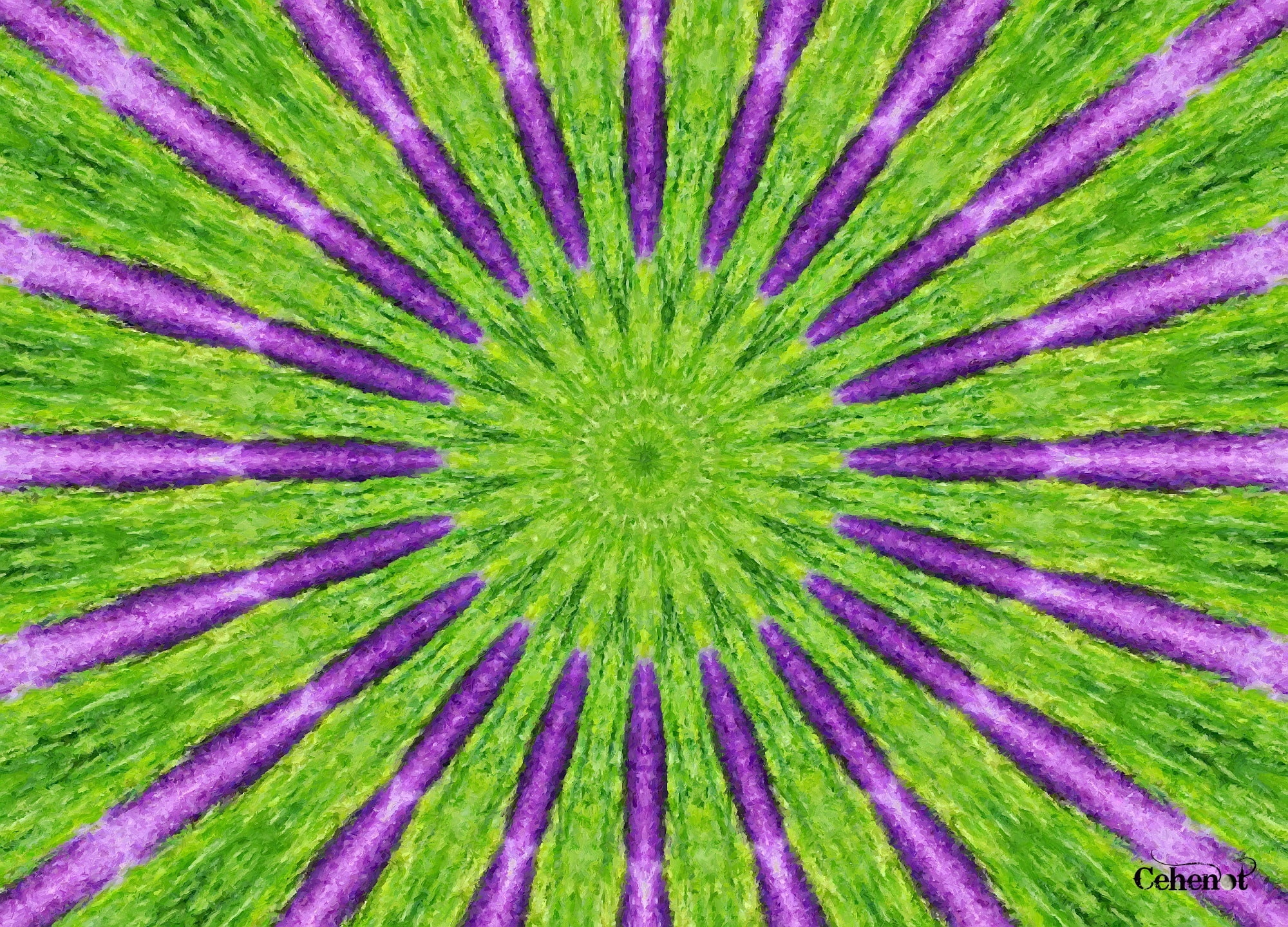 stripes, by cehenot, pictura, texture, pink, Kiwi flower, flower, 1080P, painting, art, kiwi, abstract, green, HD Wallpaper