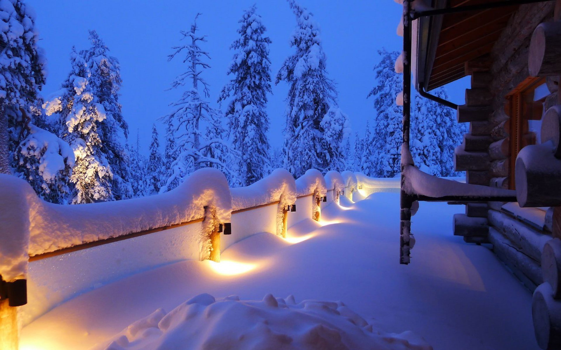 winter, 1080P, hut, trees, lights, snow, HD Wallpaper